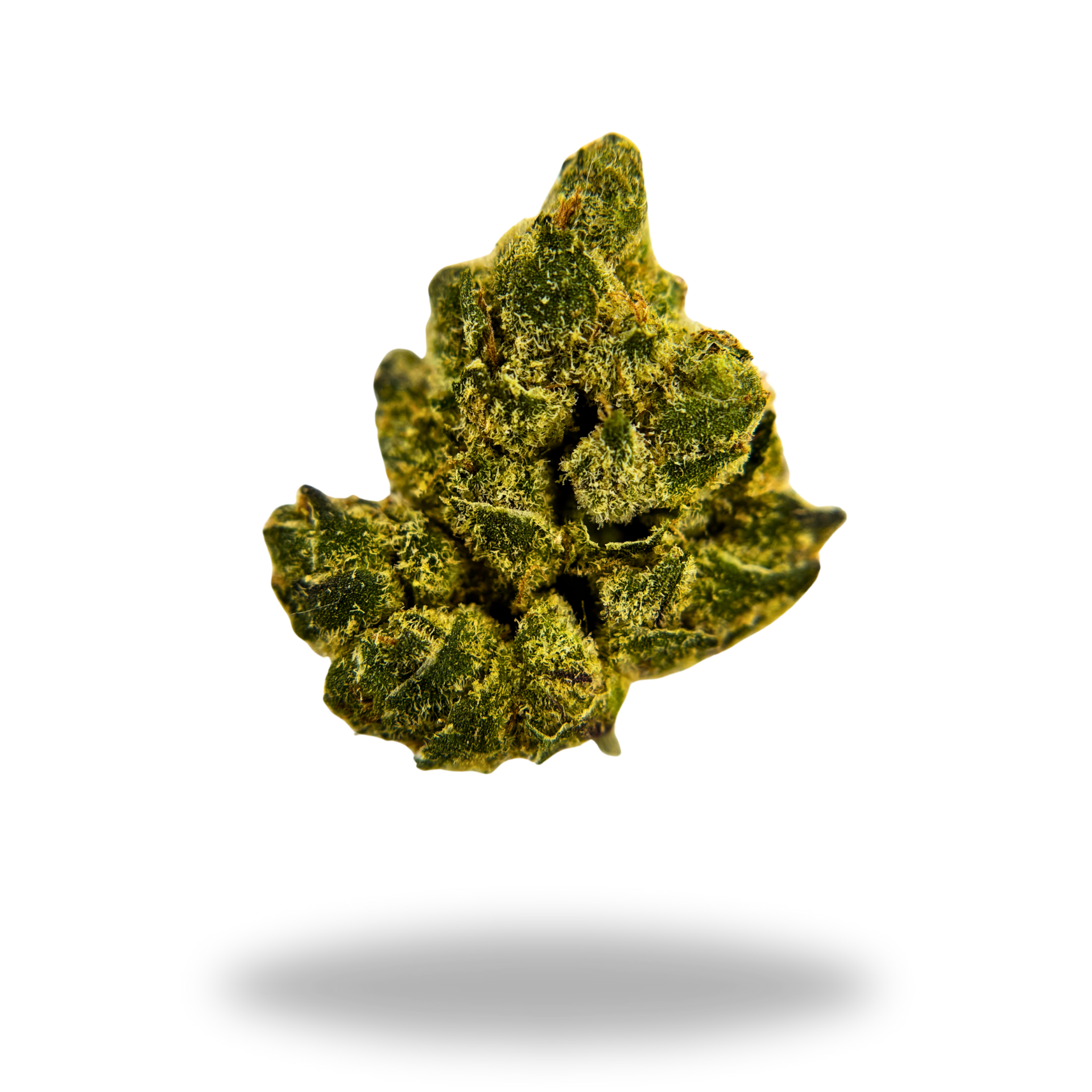 Apple Tart | Hybrid (27.20% THCa) | Legacy Farms THCa Flower