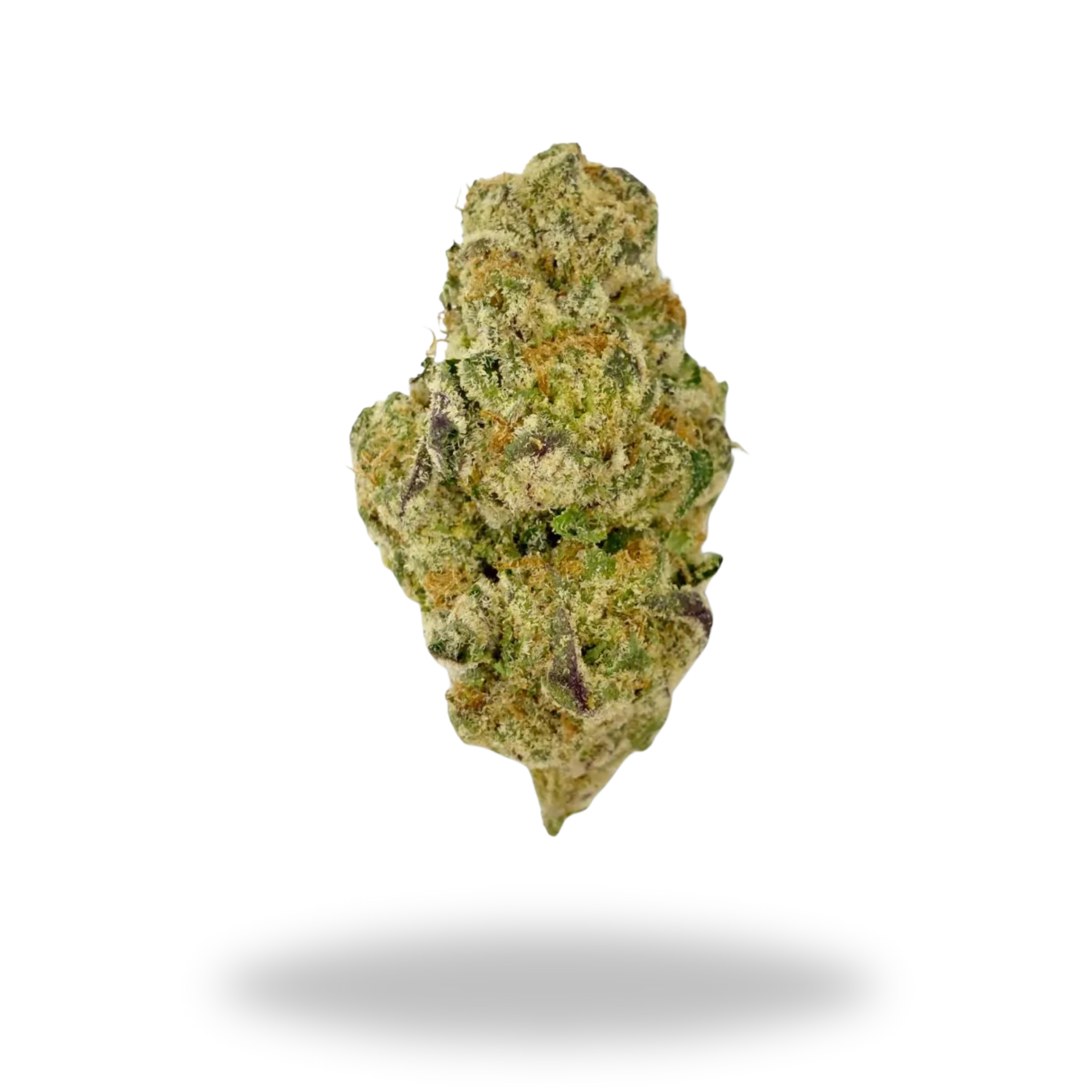 Astro Candy | Indica/Hybrid (24.7% THCa) | Legacy Farms THCa Flower