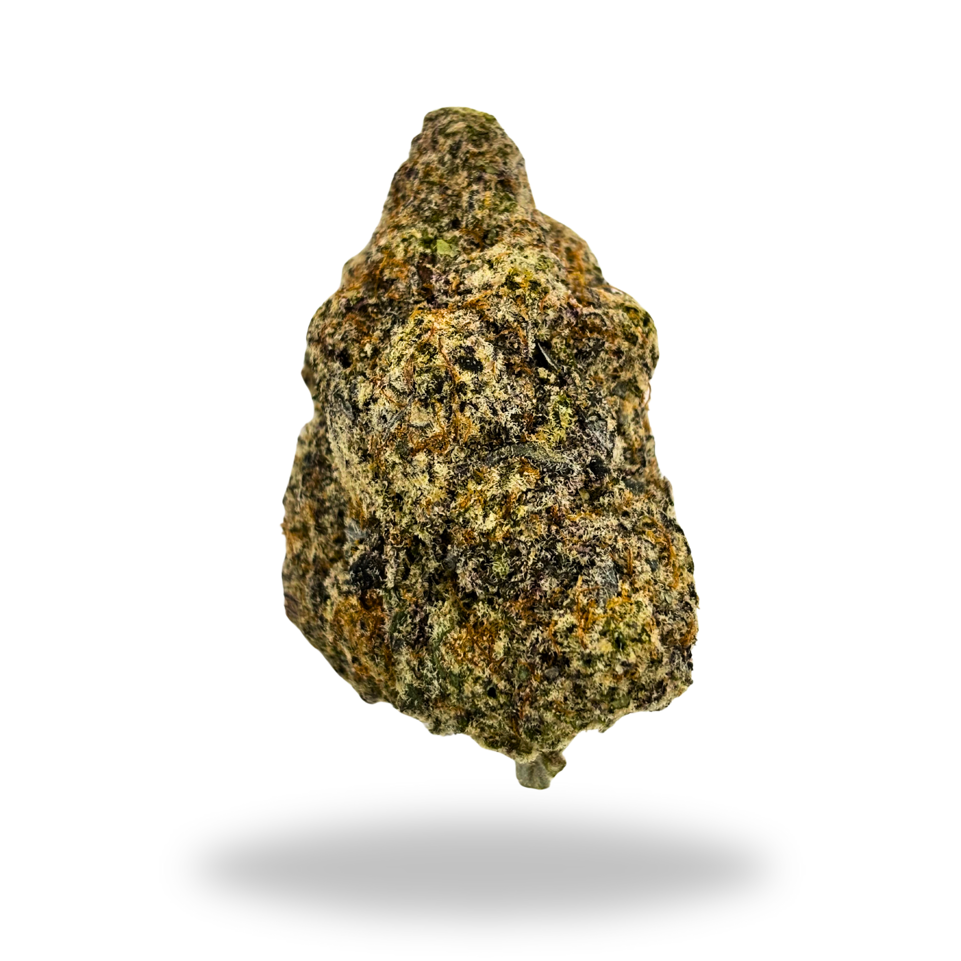 Biscotti Birthday | Sativa/Hybrid (25.90% THCa) | Legacy Farms THCa Flower