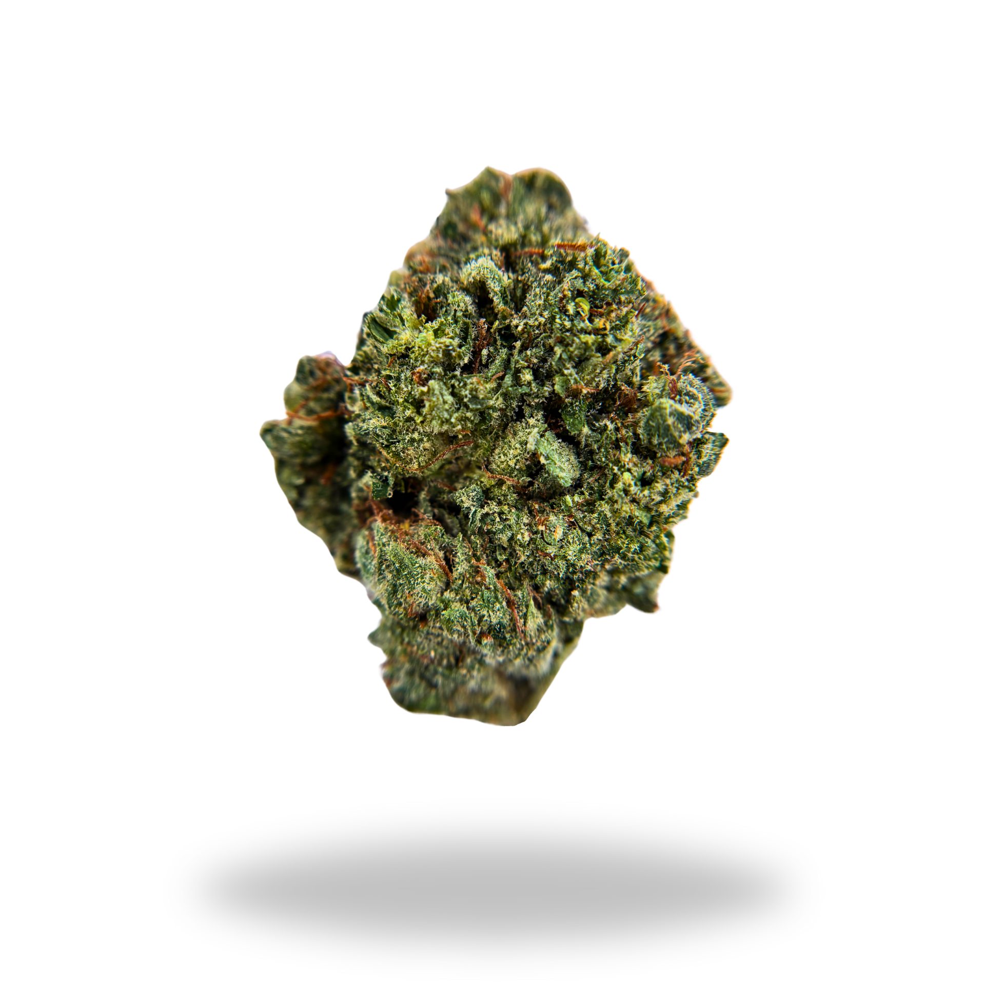 Black Garlic Gelato | Indica/Hybrid (30.55% THCa) | Legacy Farms THCa Flower