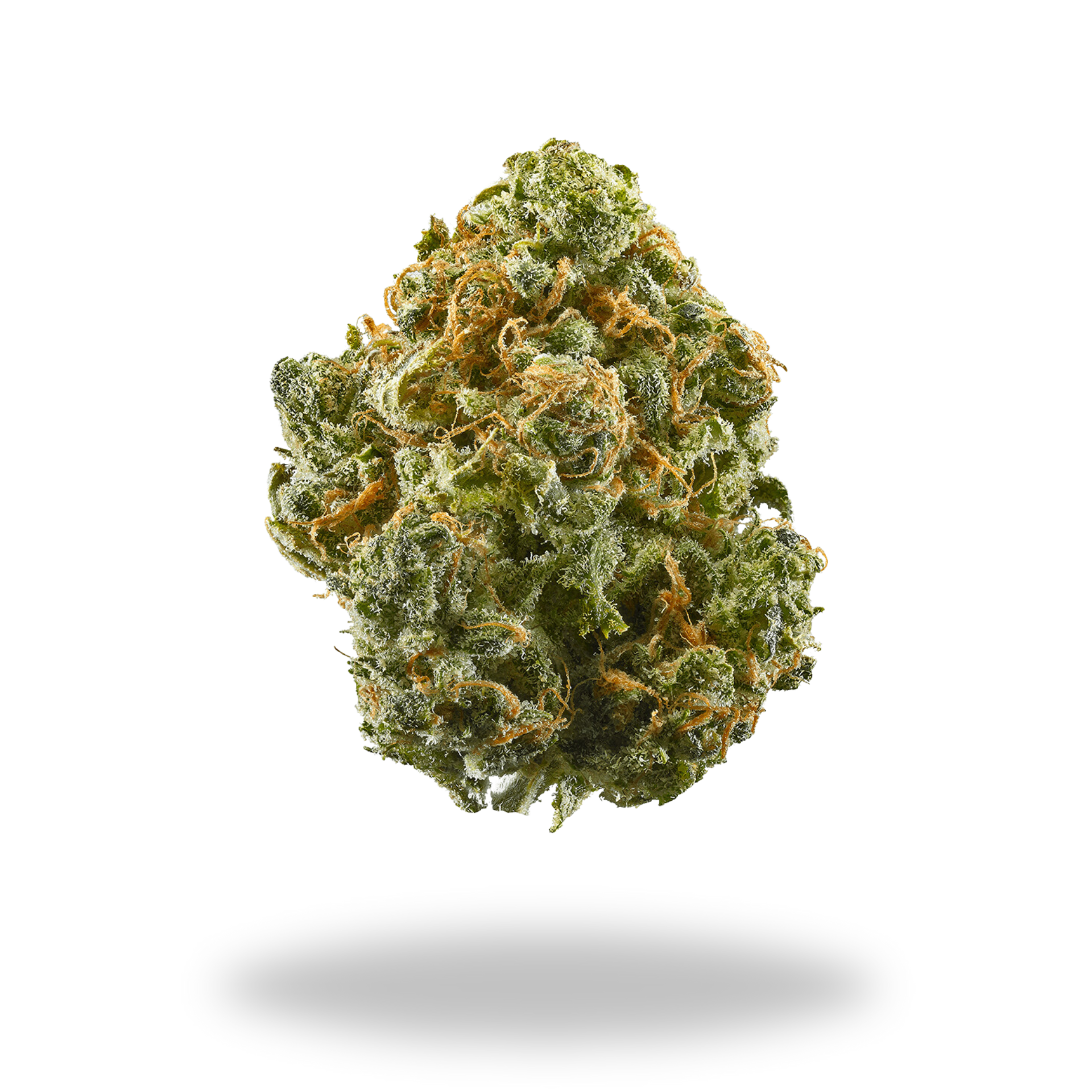 Blue Dream | Sativa/Hybrid (22% THCa) | Legacy Farms THCa Flower