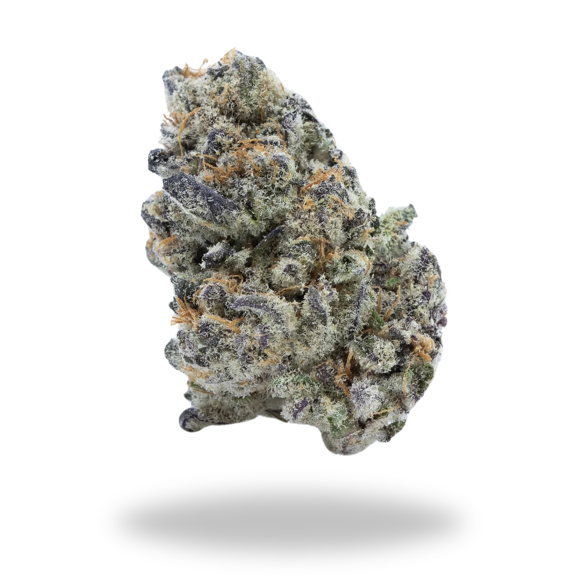 Blueberry Z | Indica/Hybrid (24.47% THCa) | Legacy Farms THCa Flower