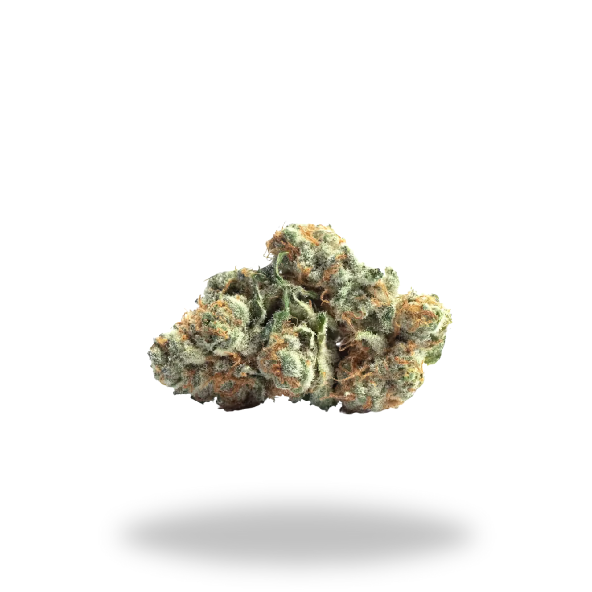 Legacy Farms | CBD Flower | Grade A