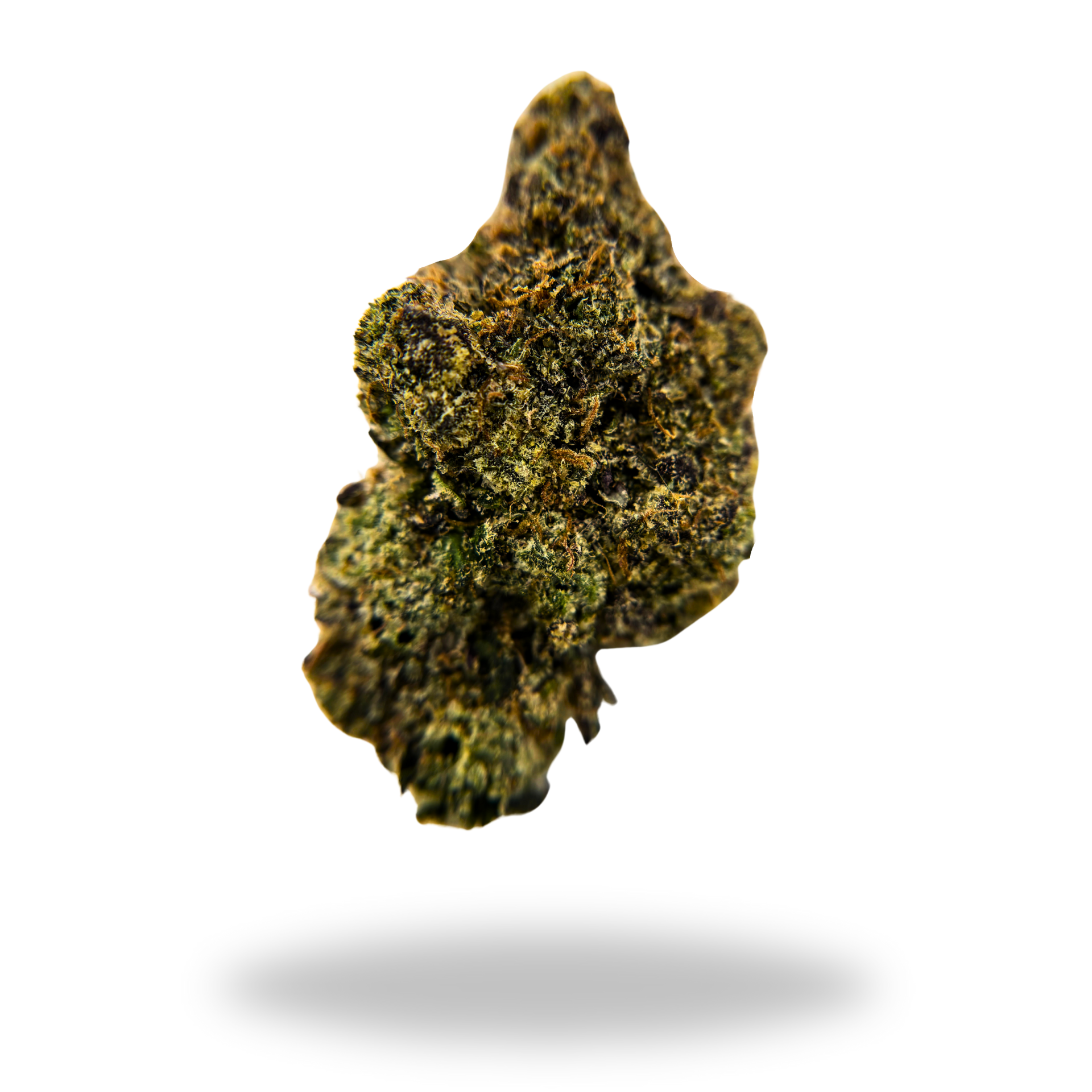 Chocolato | Indica/Hybrid (27.4% THCa) | Legacy Farms THCa Flower