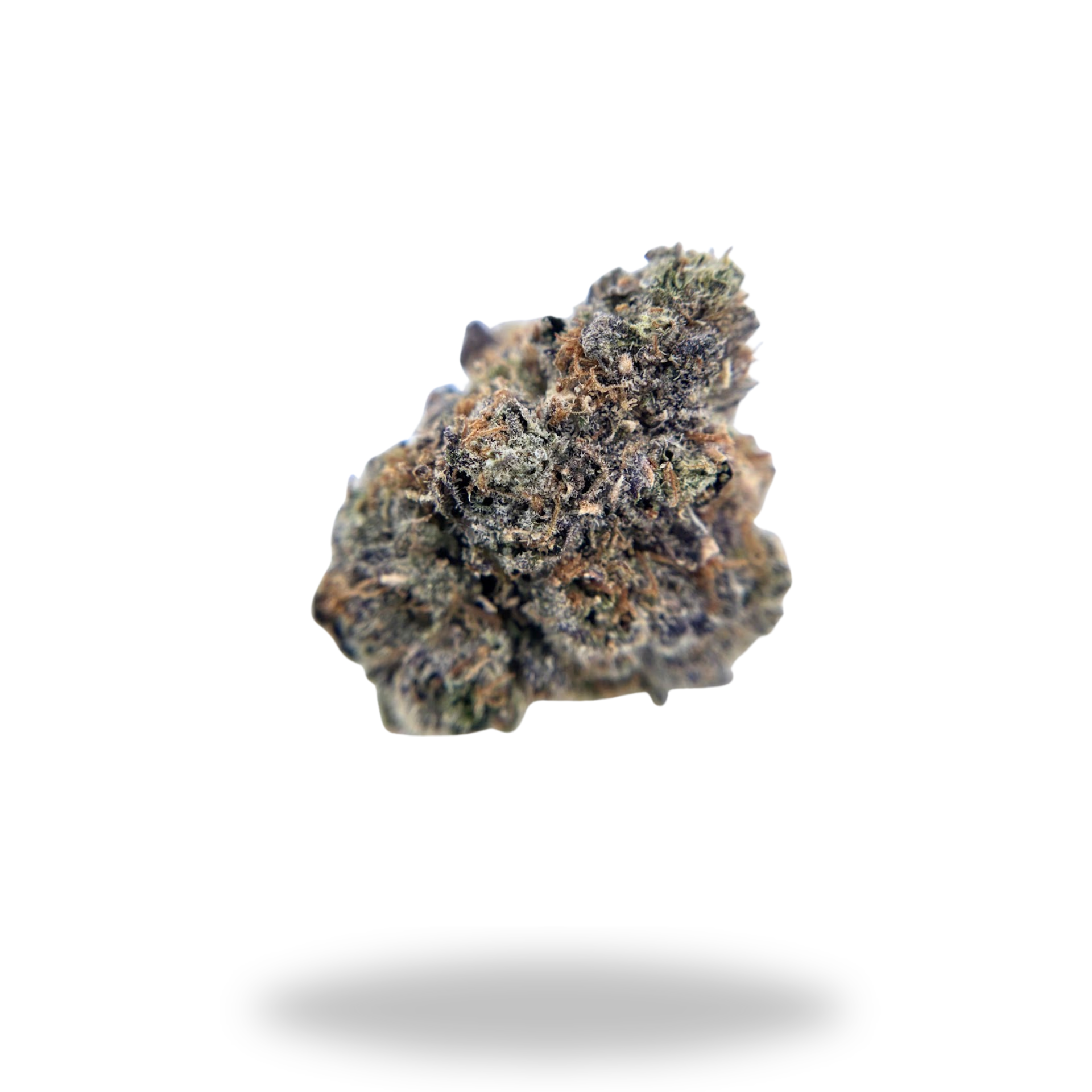 Cotton Candy Gas | Hybrid (28.60% THCa) | Legacy Farms THCa Flower