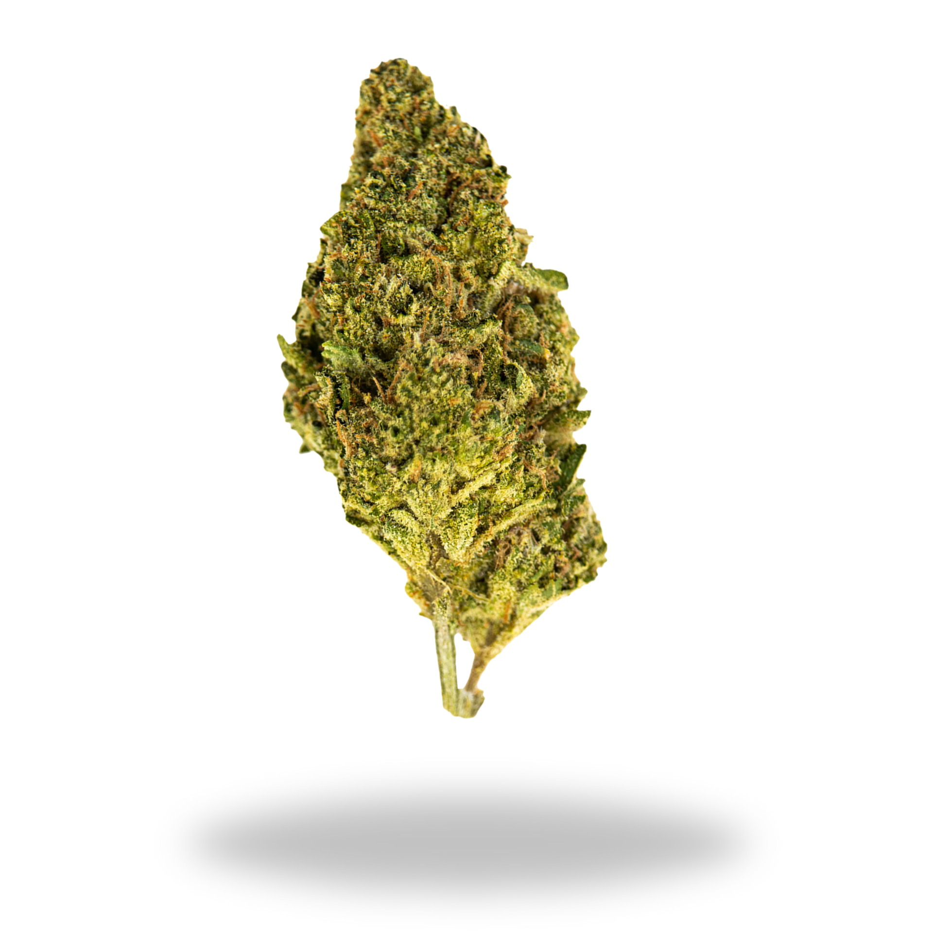 Gary Payton | Hybrid (29.6% THCa) | Legacy Farms THCa Flower
