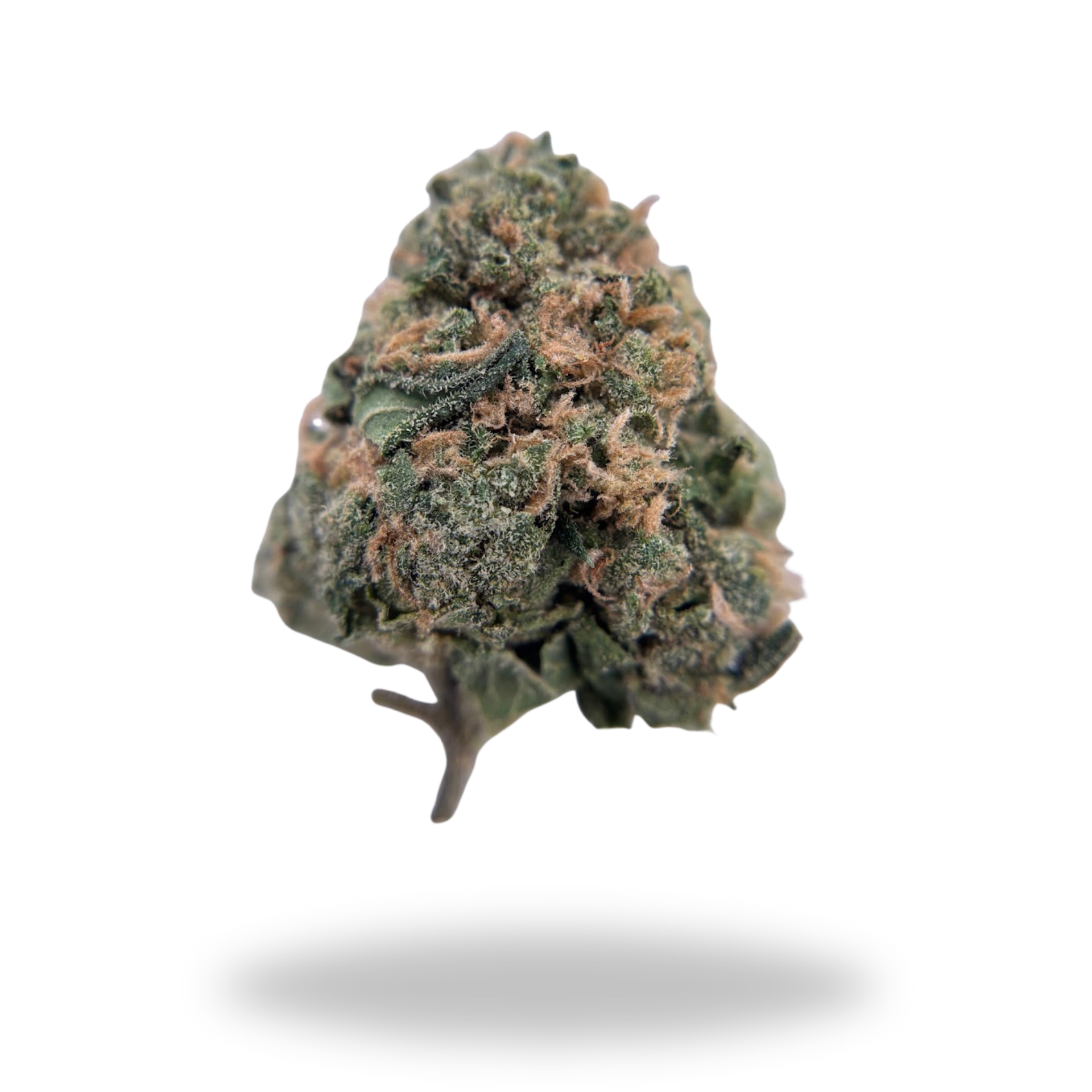 Gary Zkittles | Hybrid (Indica Dominant 25.15% THCa) | Legacy Farms THCa Flower