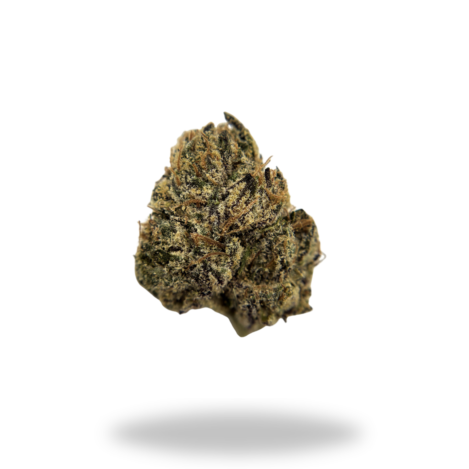 Gelato #47 | Hybrid (29.60% THCa) | Legacy Farms THCa Flower