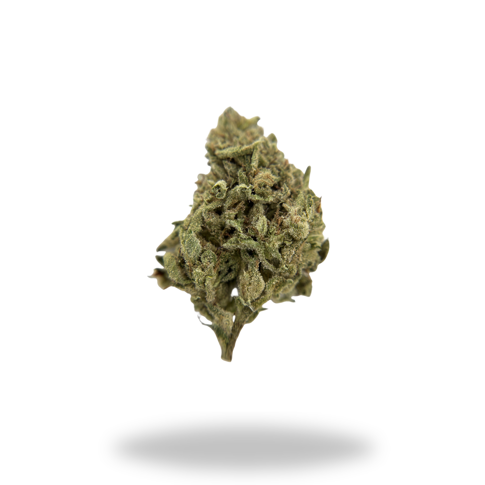 Gooshmintz | Indica (24.55% THCa) | Legacy Farms THCa Flower