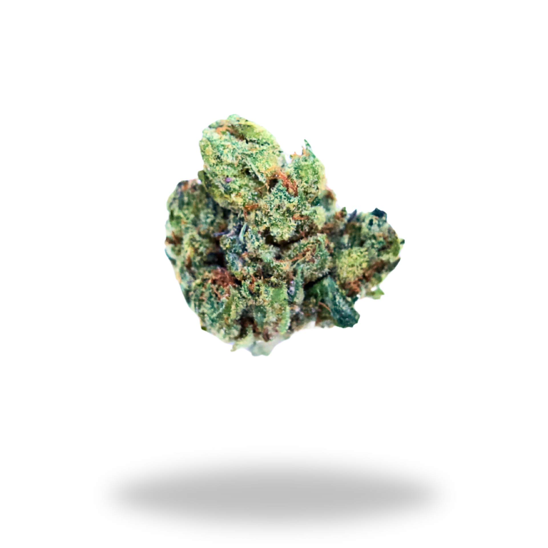 Gorilla Glue 4 | Hybrid (22.3% THCa) | Legacy Farms THCa Flower