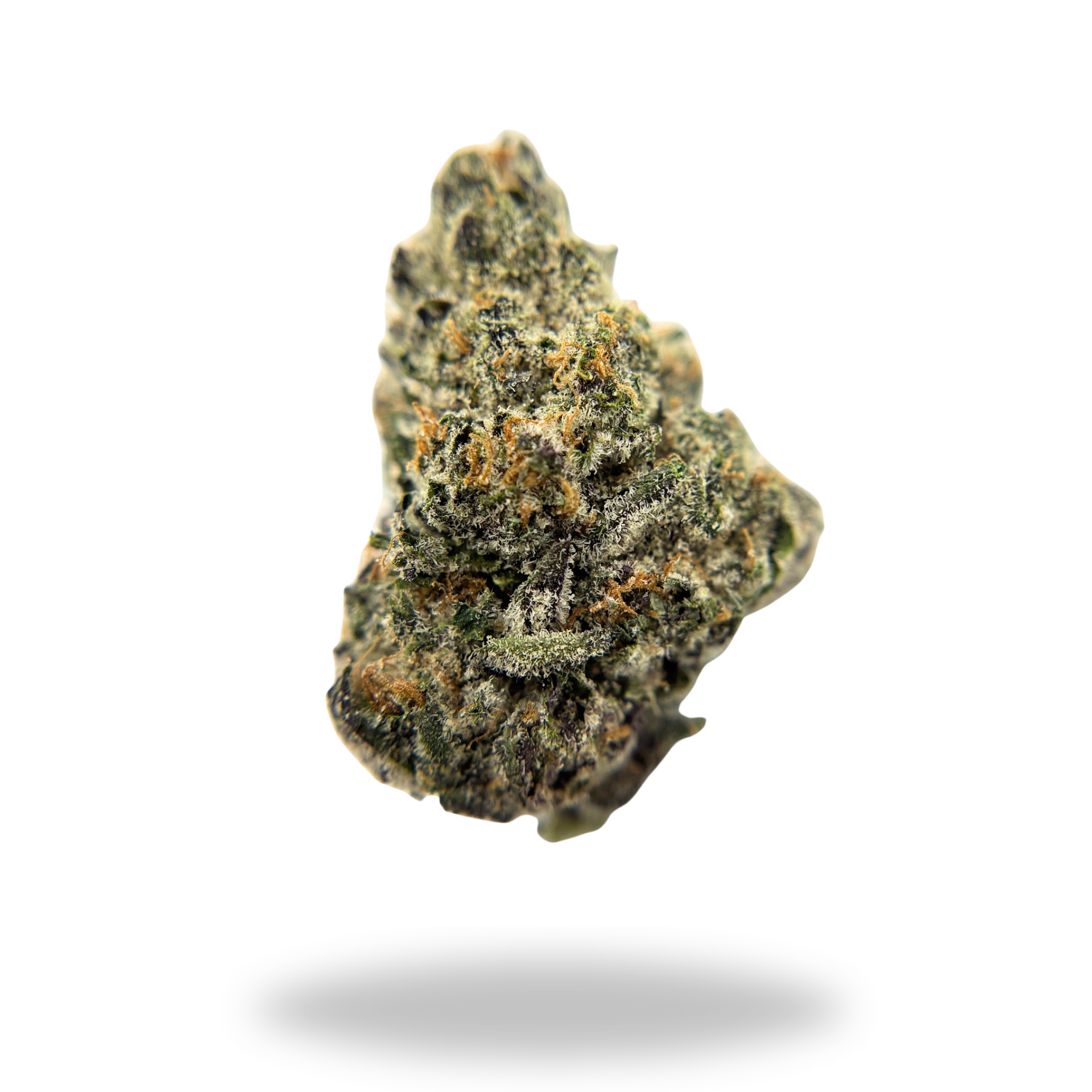 ICC Runtz | Hybrid (27.10% THCa) | Legacy Farms THCa Flower