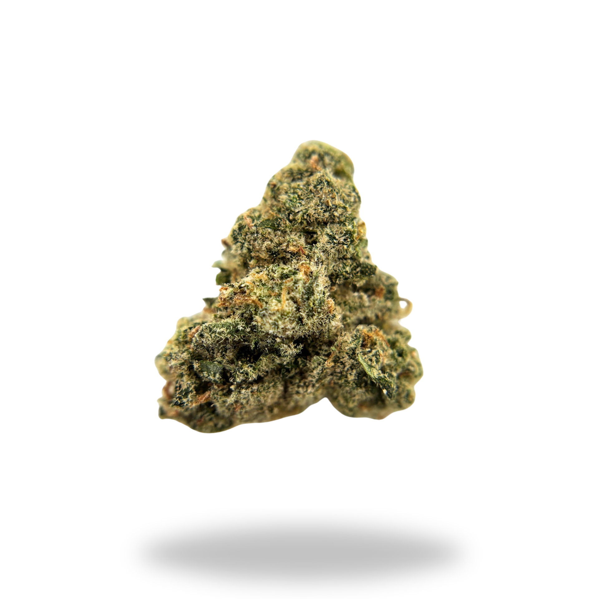 Jack Herer | Sativa/Hybrid (25.95% THCa) | Legacy Farms THCa Flower