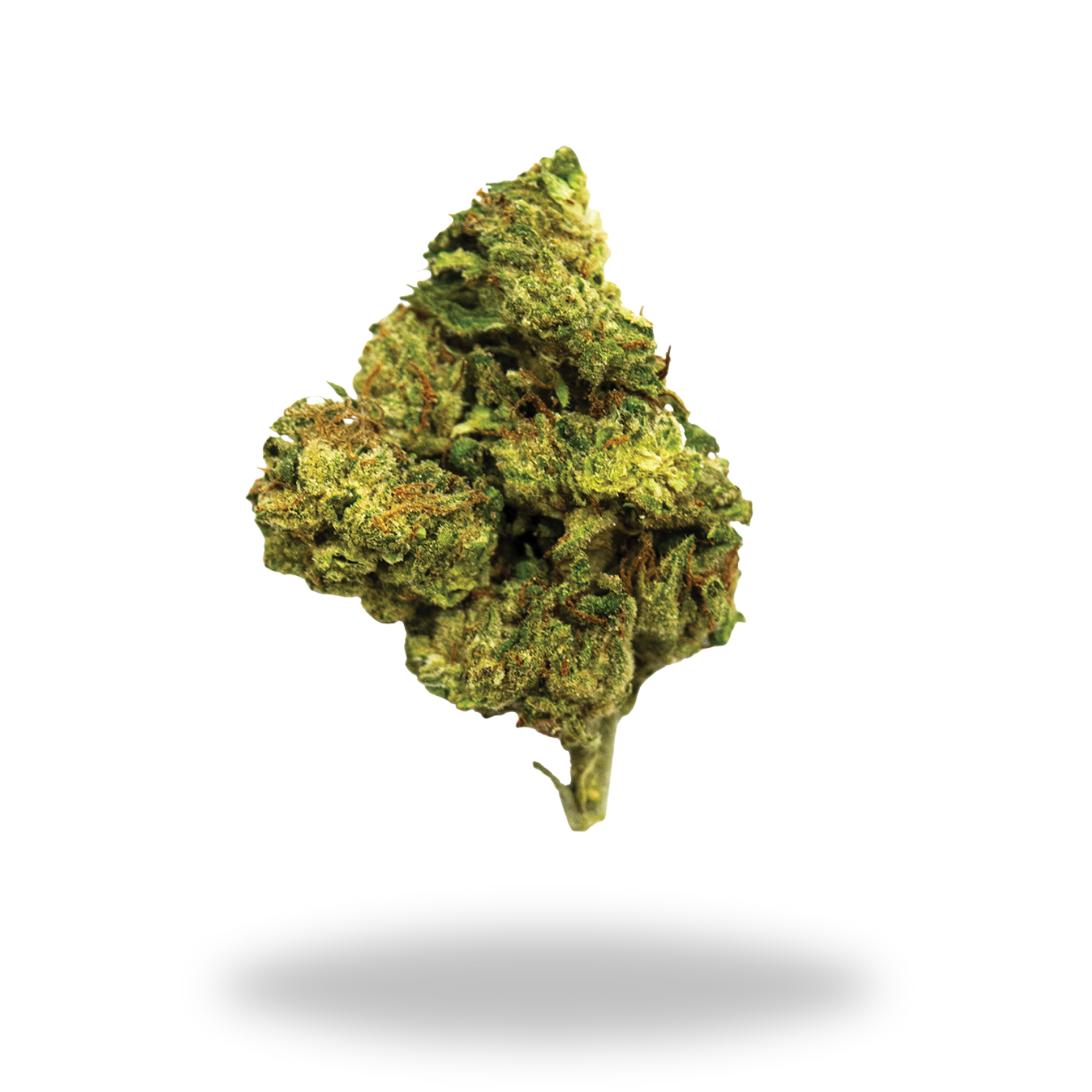 Jealousy | Hybrid (22% THCa) | Legacy Farms THCa Flower