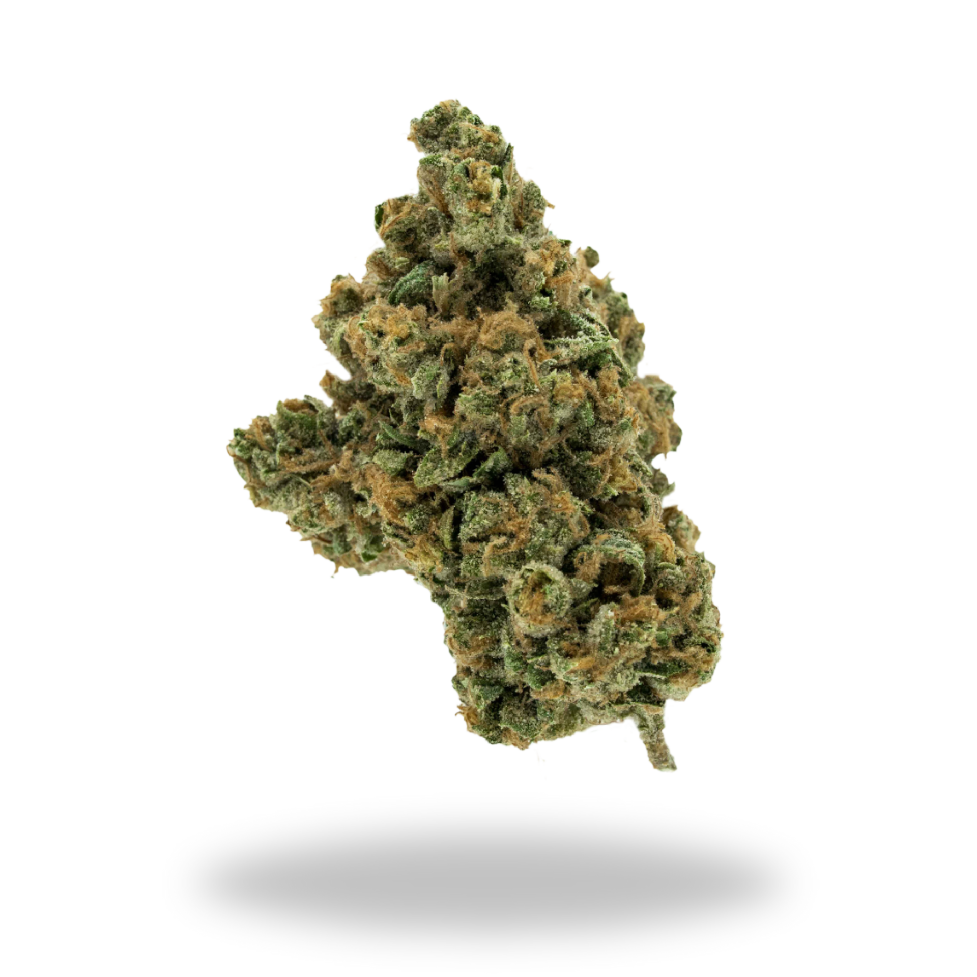 Jesus OG | Hybrid (25% THCa) | Legacy Farms THCa Flower