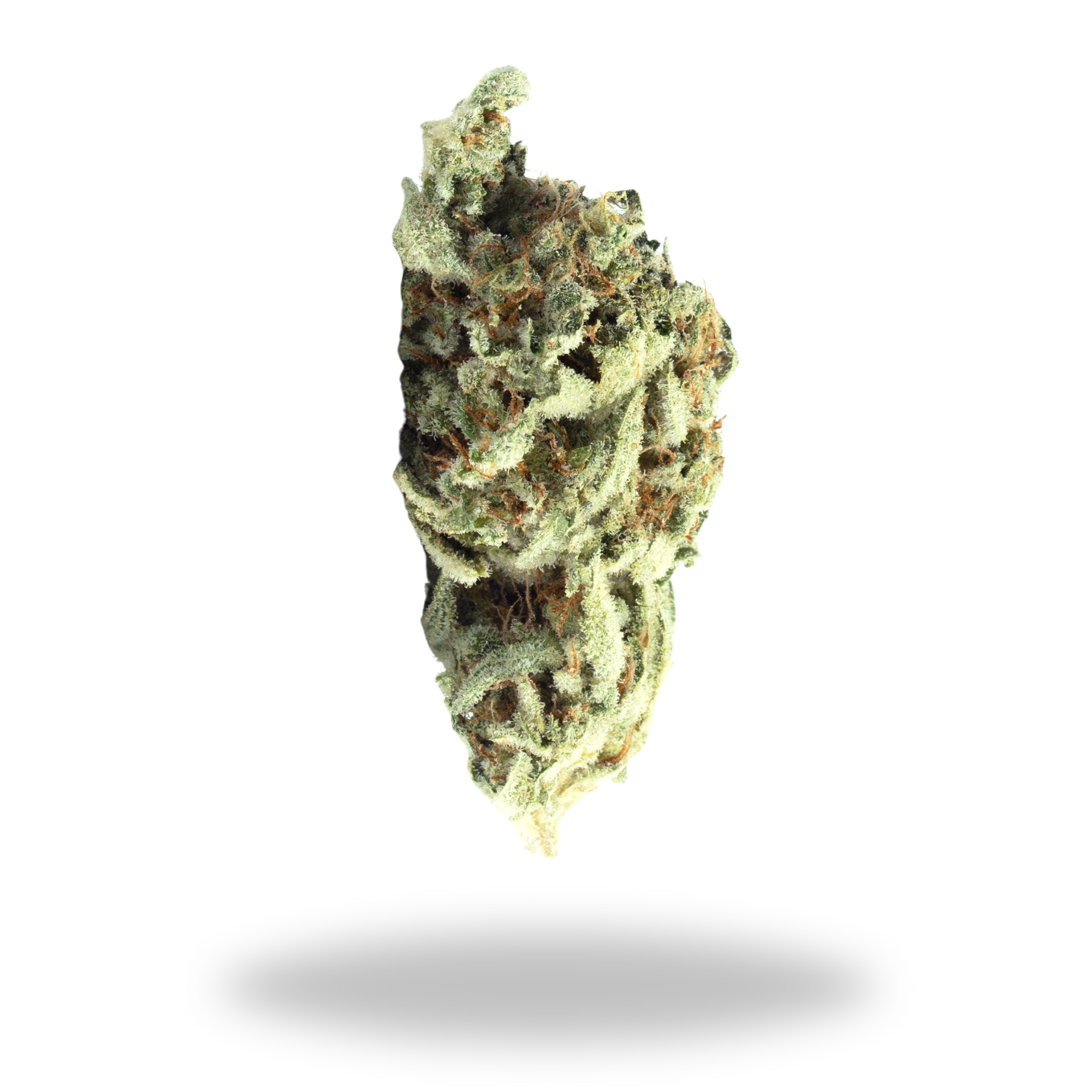 Kush Mintz | Hybrid (23.5% THCa) | Legacy Farms THCa Flower