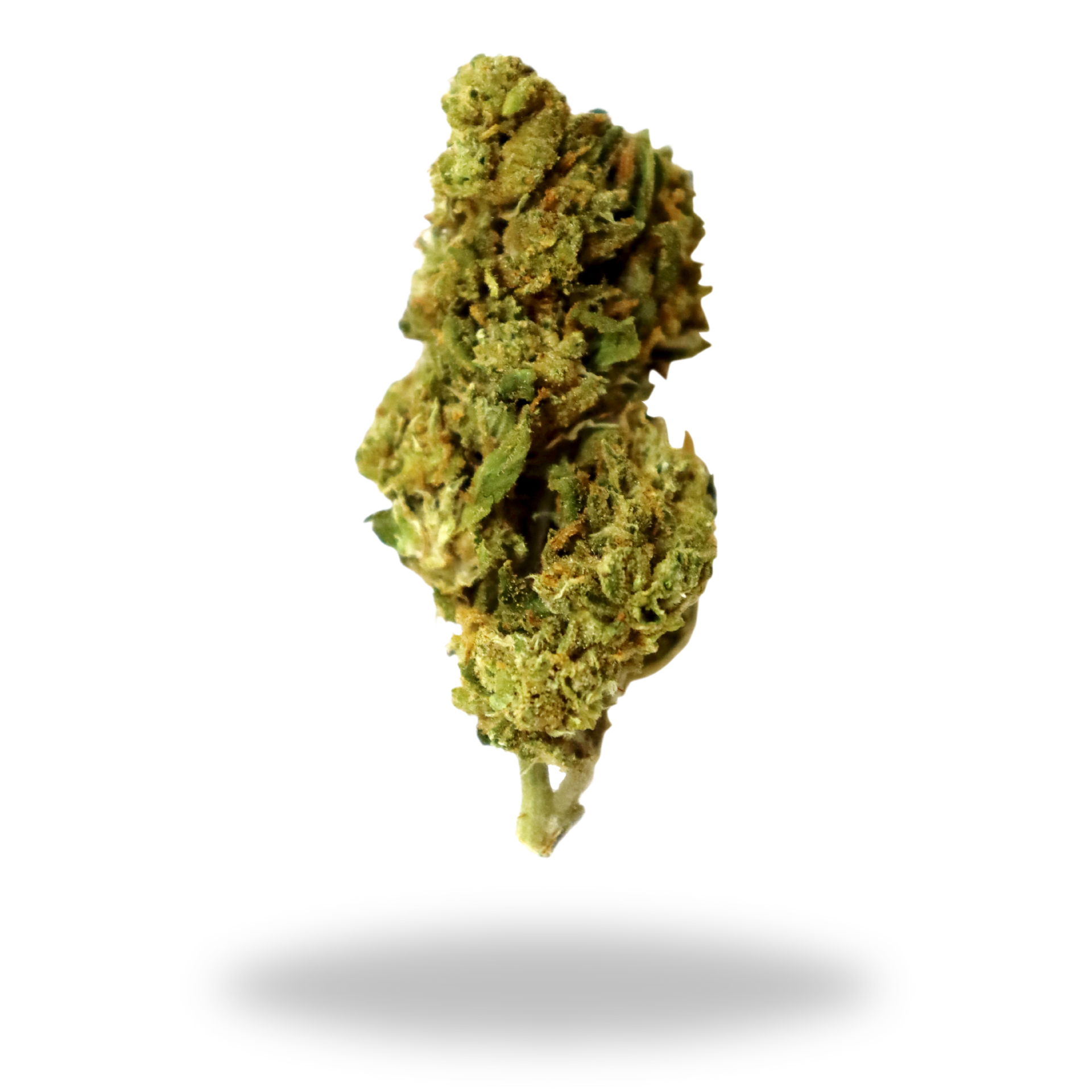 Laughing Gas | Sativa/Hybrid (27.8% THCa) | Legacy Farms THCa Flower