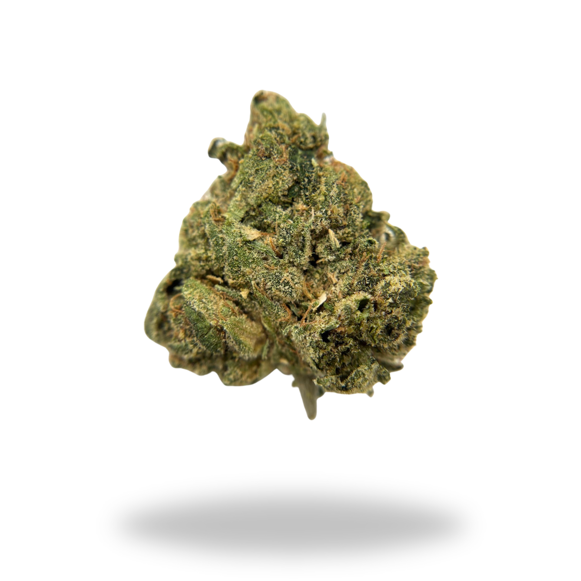 Lemon Slam | Sativa Dominant Hybrid (27.90% THCa) | Legacy Farms THCa Flower