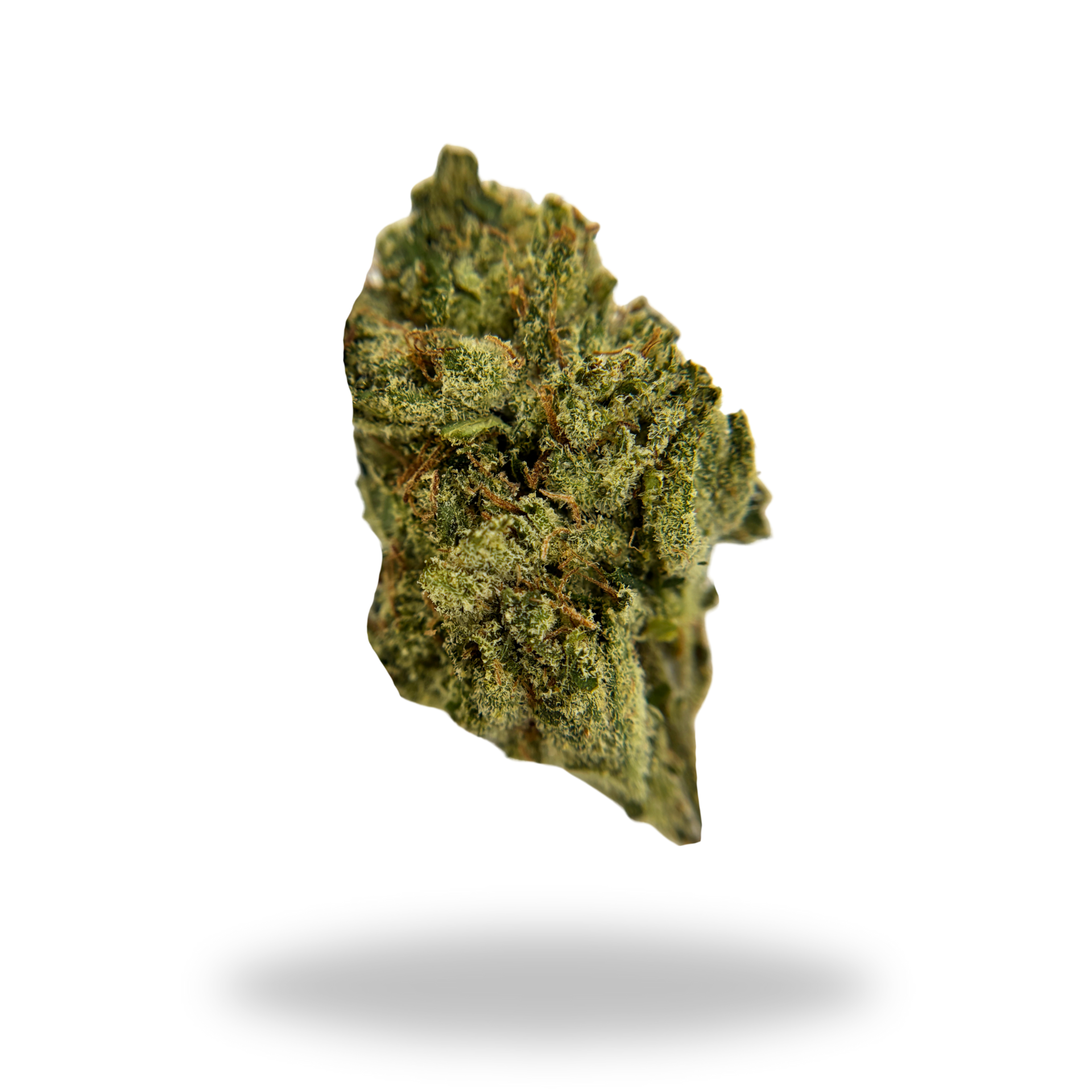 Lilac Diesel THCa hemp flower strain photography