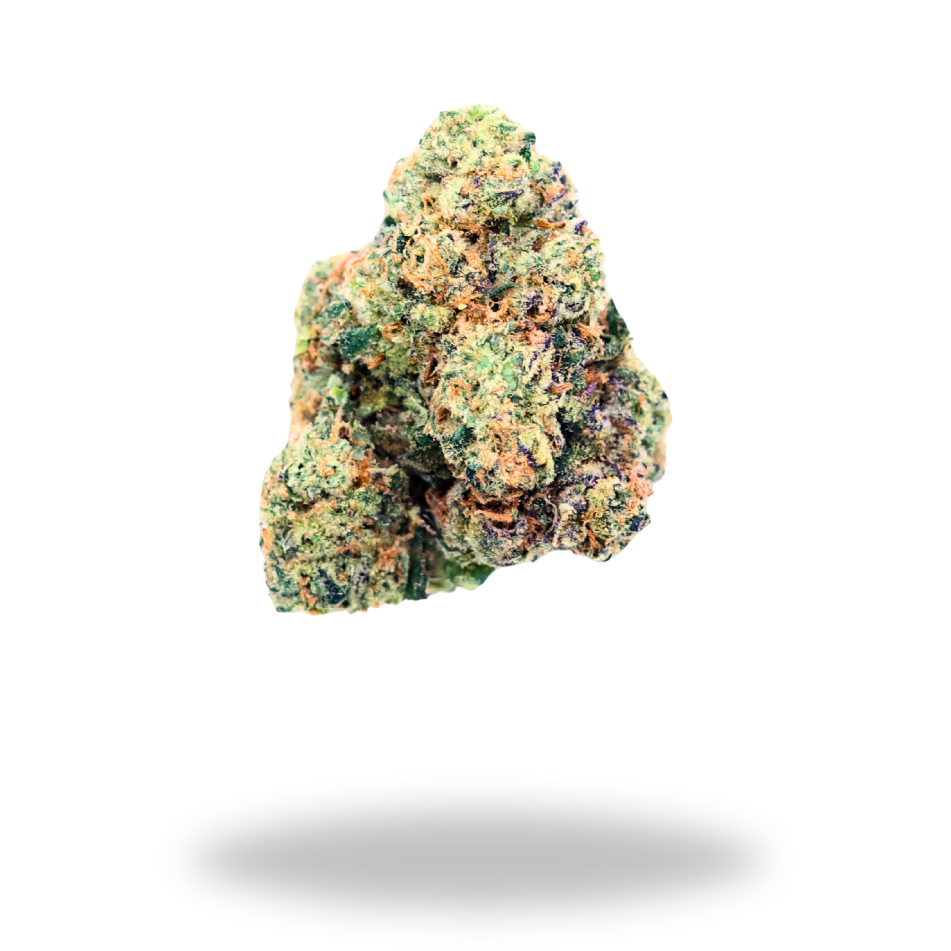 Mule Fuel | Indica/Hybrid (23.8% THCa) | Legacy Farms THCa Flower