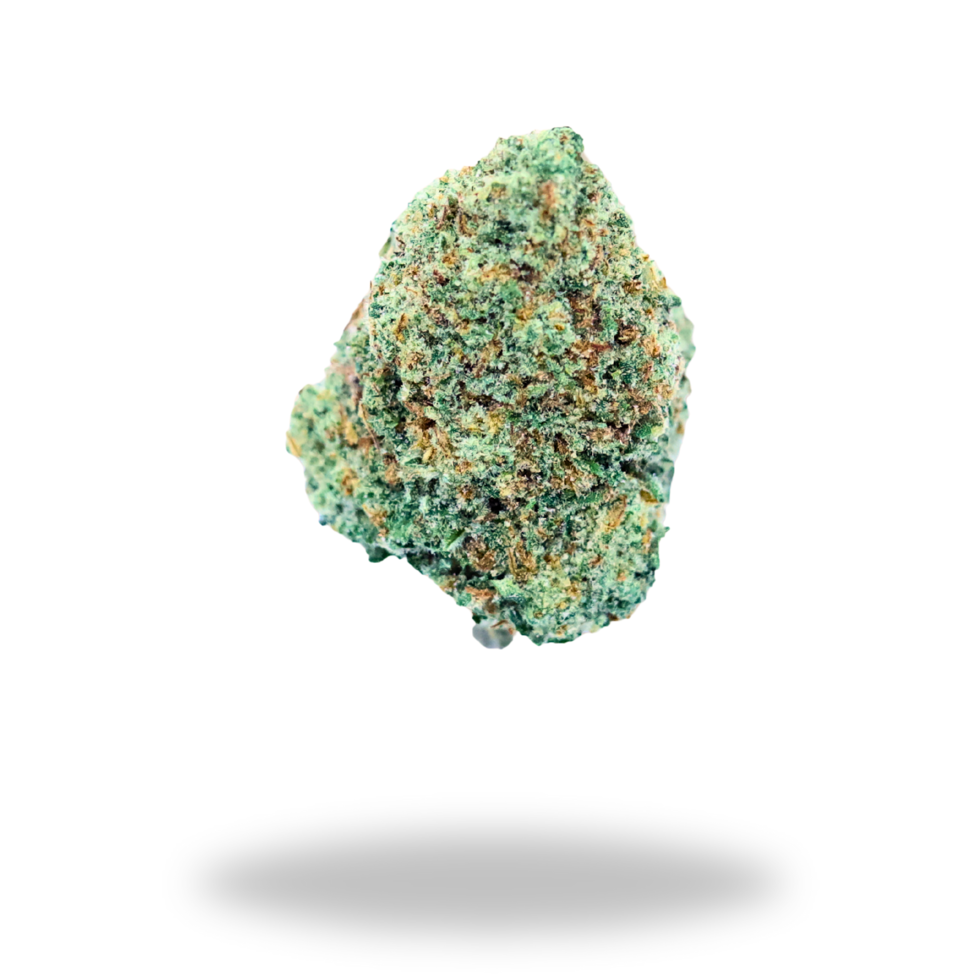 Orange Cream | Sativa/Hybrid (22.1% THCa) | Legacy Farms THCa Flower