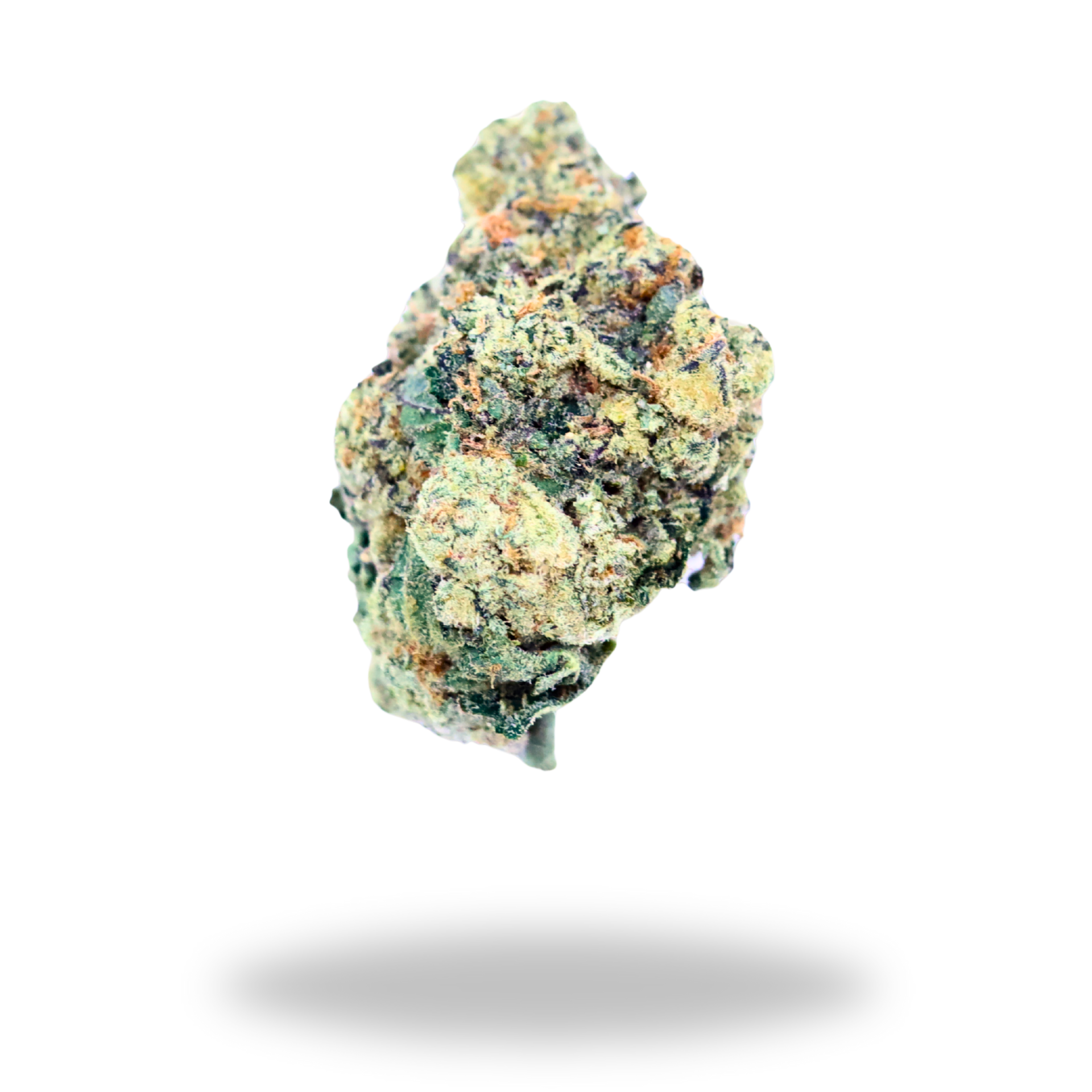 Oreos Milk | Indica/Hybrid (32.4% THCa) | Legacy Farms THCa Flower