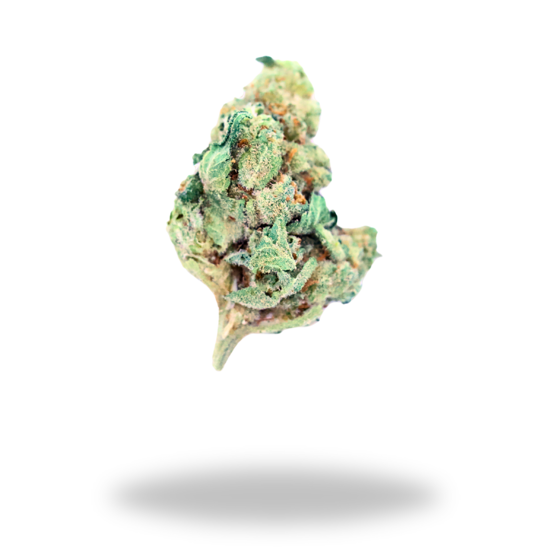 Papaya Bomb | Indica/Hybrid (22.2% THCa) | Legacy Farms THCa Flower