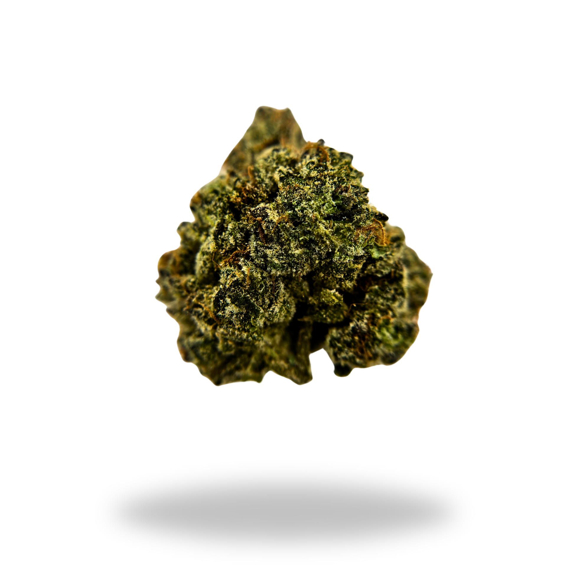 Platinum Lemon Gushers | Indica/Hybrid (32.16% THCa) | Legacy Farms THCa Flower