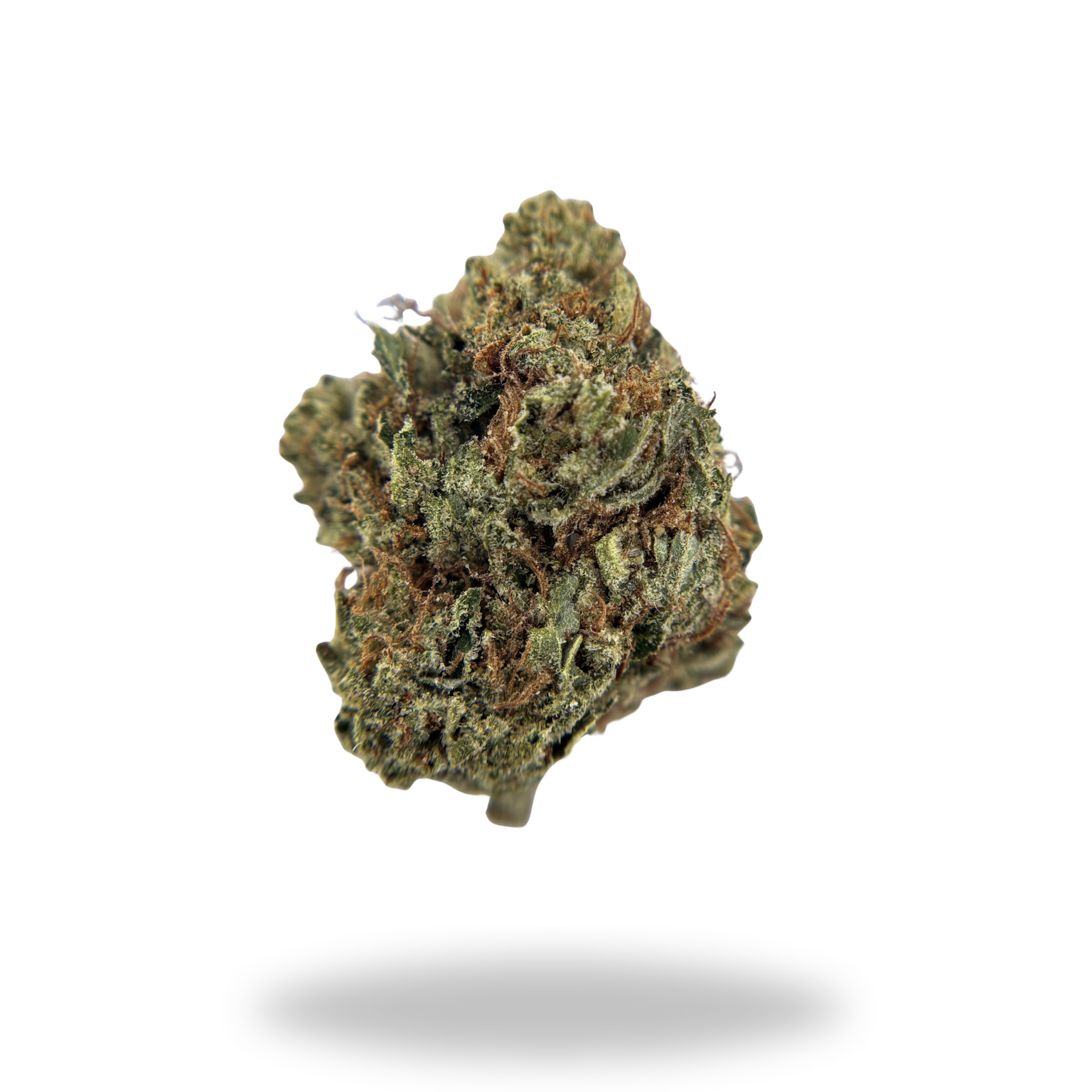 Sour Kush | Hybrid (25.14% THCa) | Legacy Farms THCa Flower