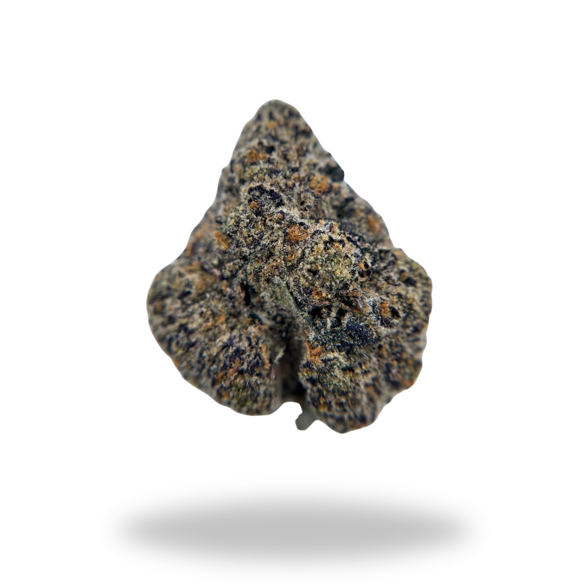 Walking In LA | Sativa Dominant Hybrid (28.19% THCa) | Legacy Farms THCa Flower