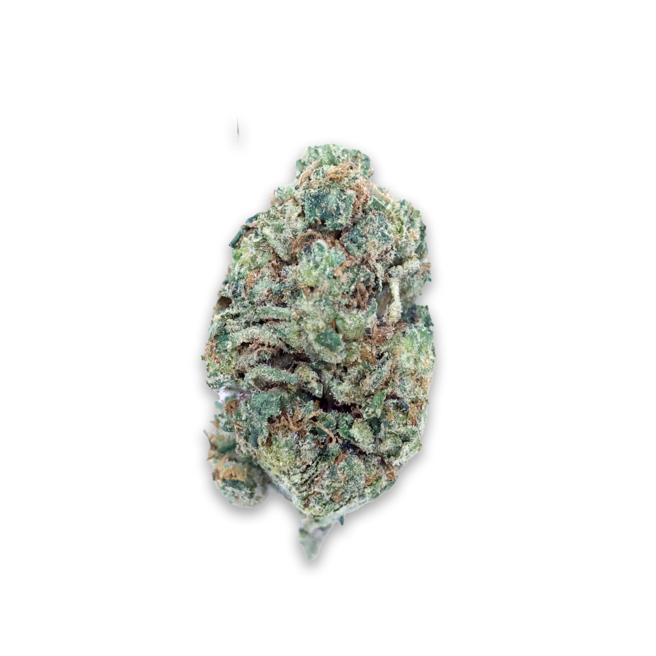 Blueberry Z | Indica/Hybrid (24.47% THCa) | Legacy Farms THCa Flower