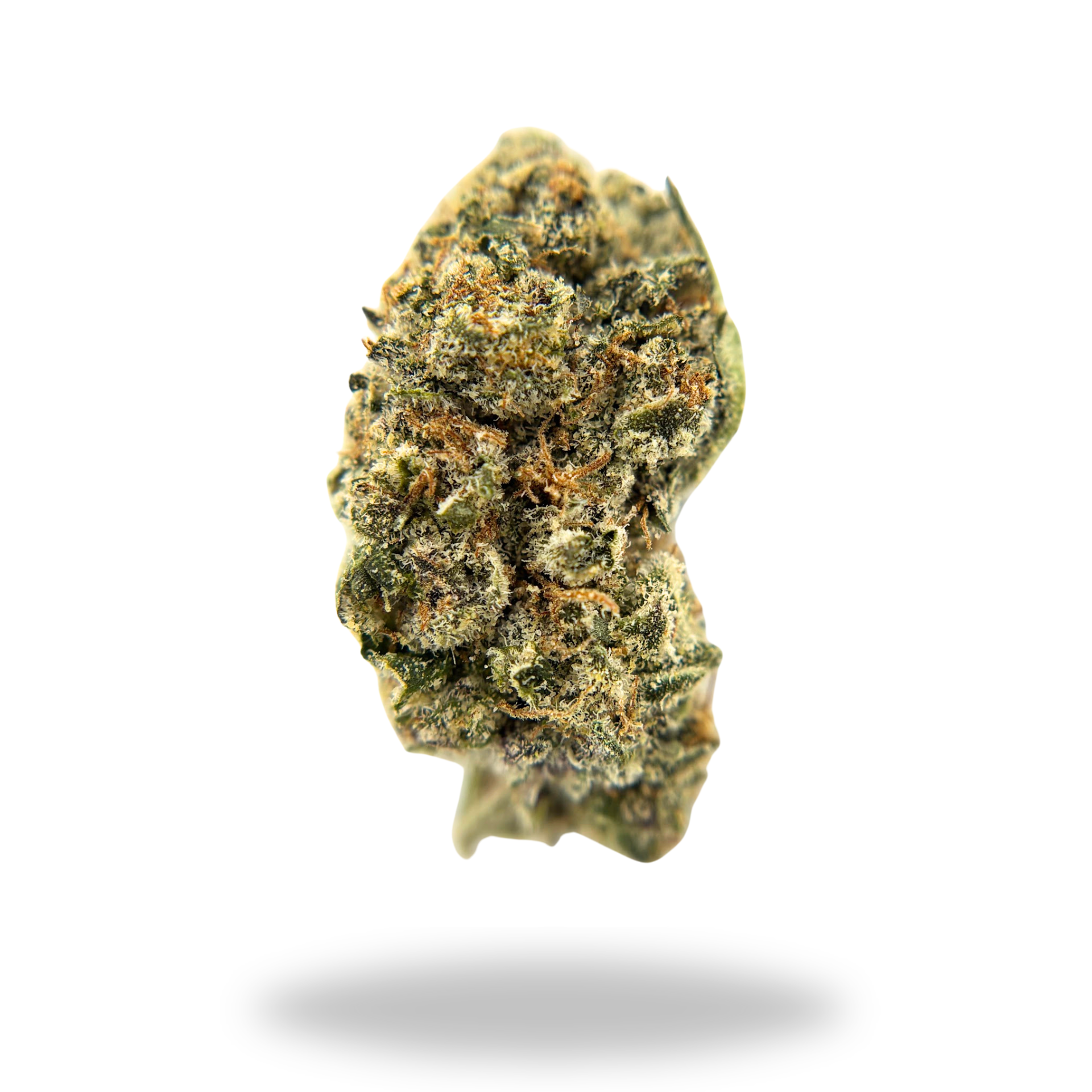 Cherry Pop Tarts | Hybrid (30.89%  THCa) | Legacy Farms THCa Flower Signature Collection