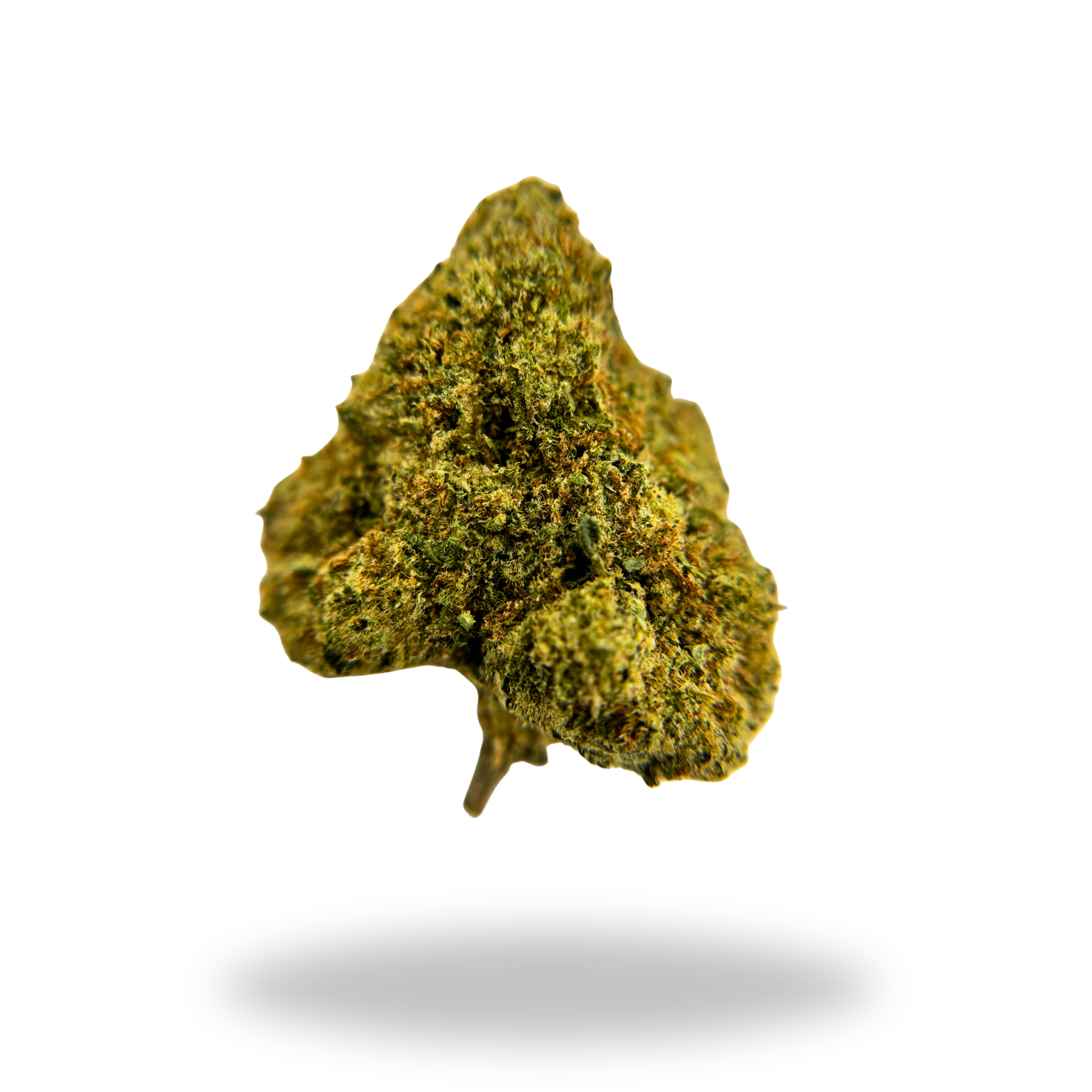 Cookies & Cream | Hybrid (23.46% THCa) | Legacy Farms THCa Flower