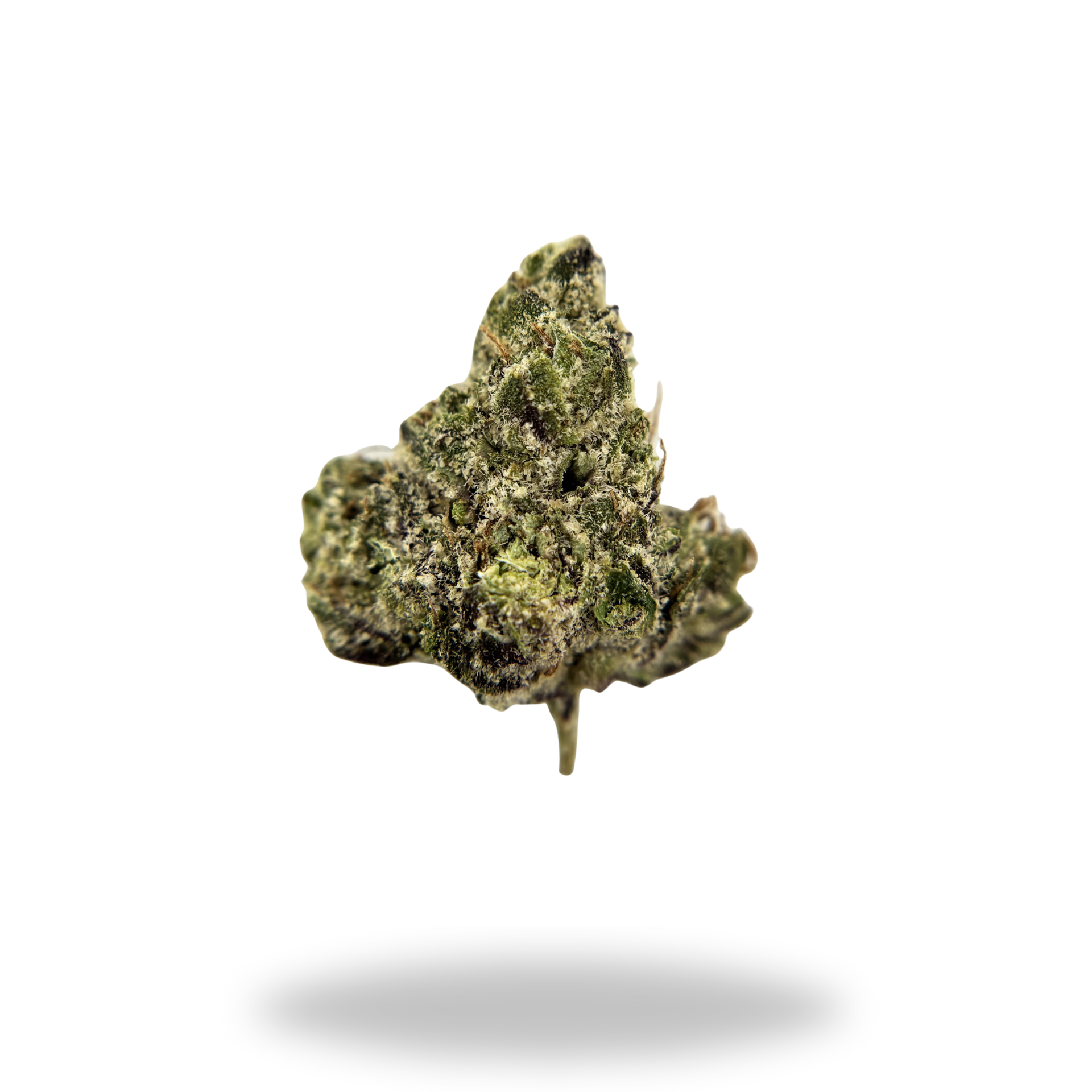 Dior | Sativa (32.62%  THCa) | Legacy Farms THCa Flower