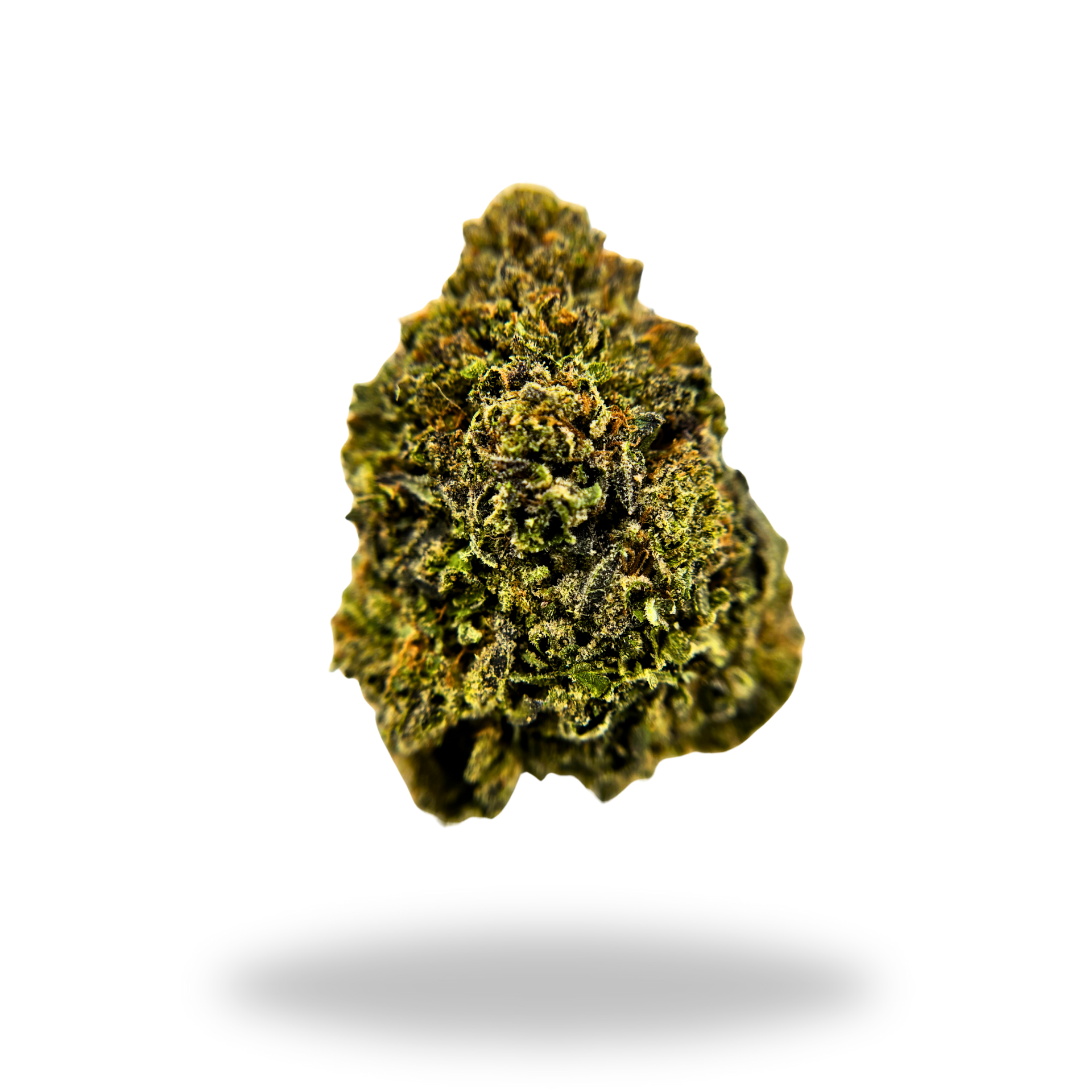 Frosted Donutz | Indica/Hybrid (31.05% THCa) | Legacy Farms THCa Flower