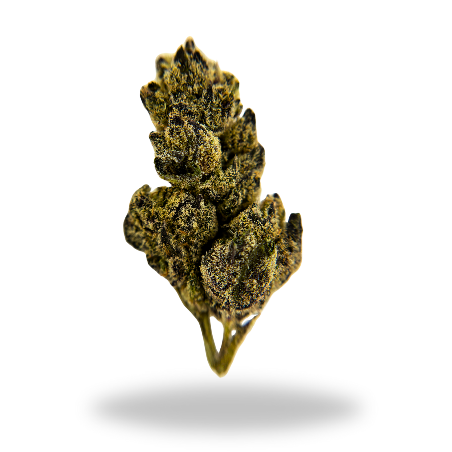 Garlic Glaze | Indica/Hybrid (28.10% THCa) | Legacy Farms THCa Flower