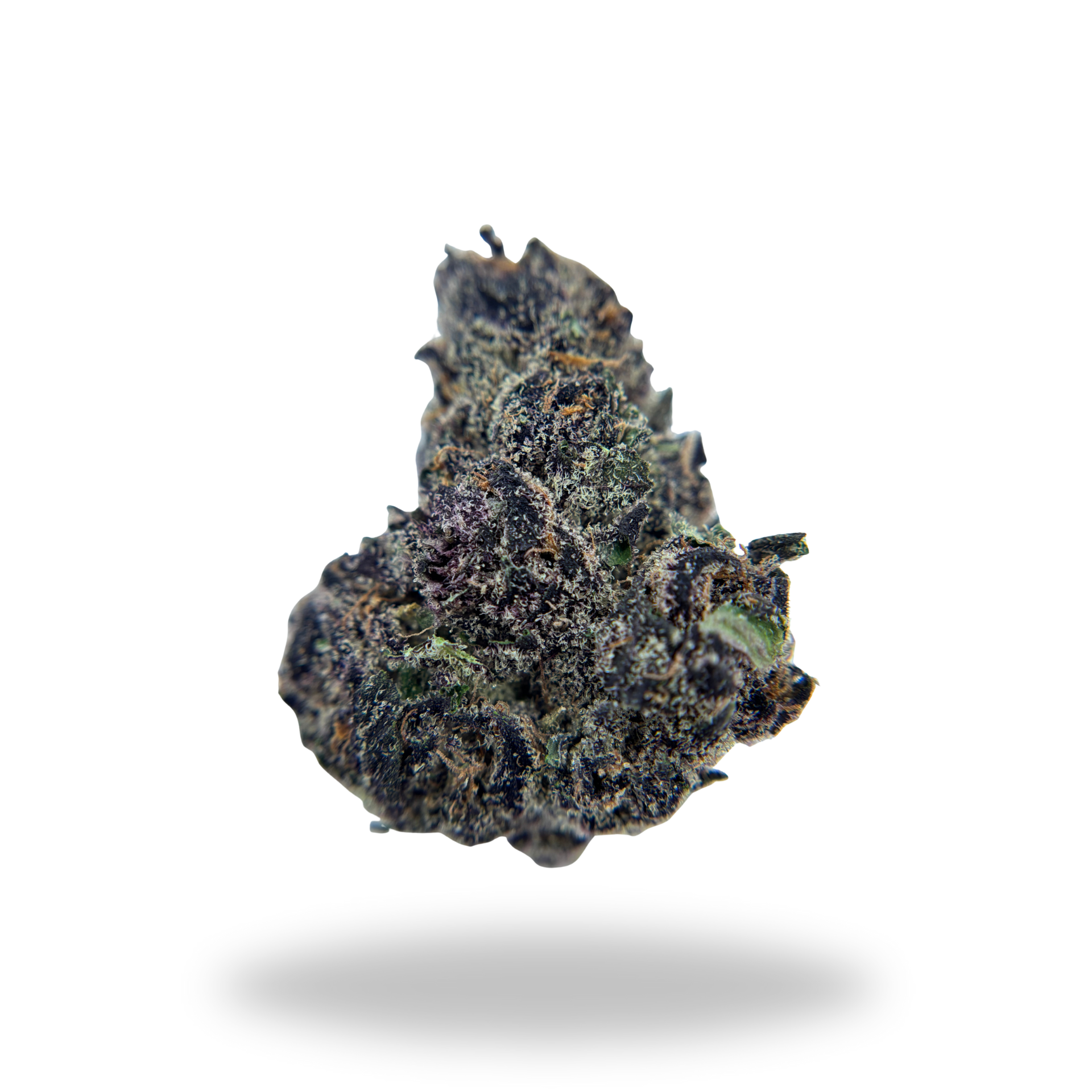 Halle Berry | Hybrid (33.25% THCa) | Legacy Farms THCa Flower