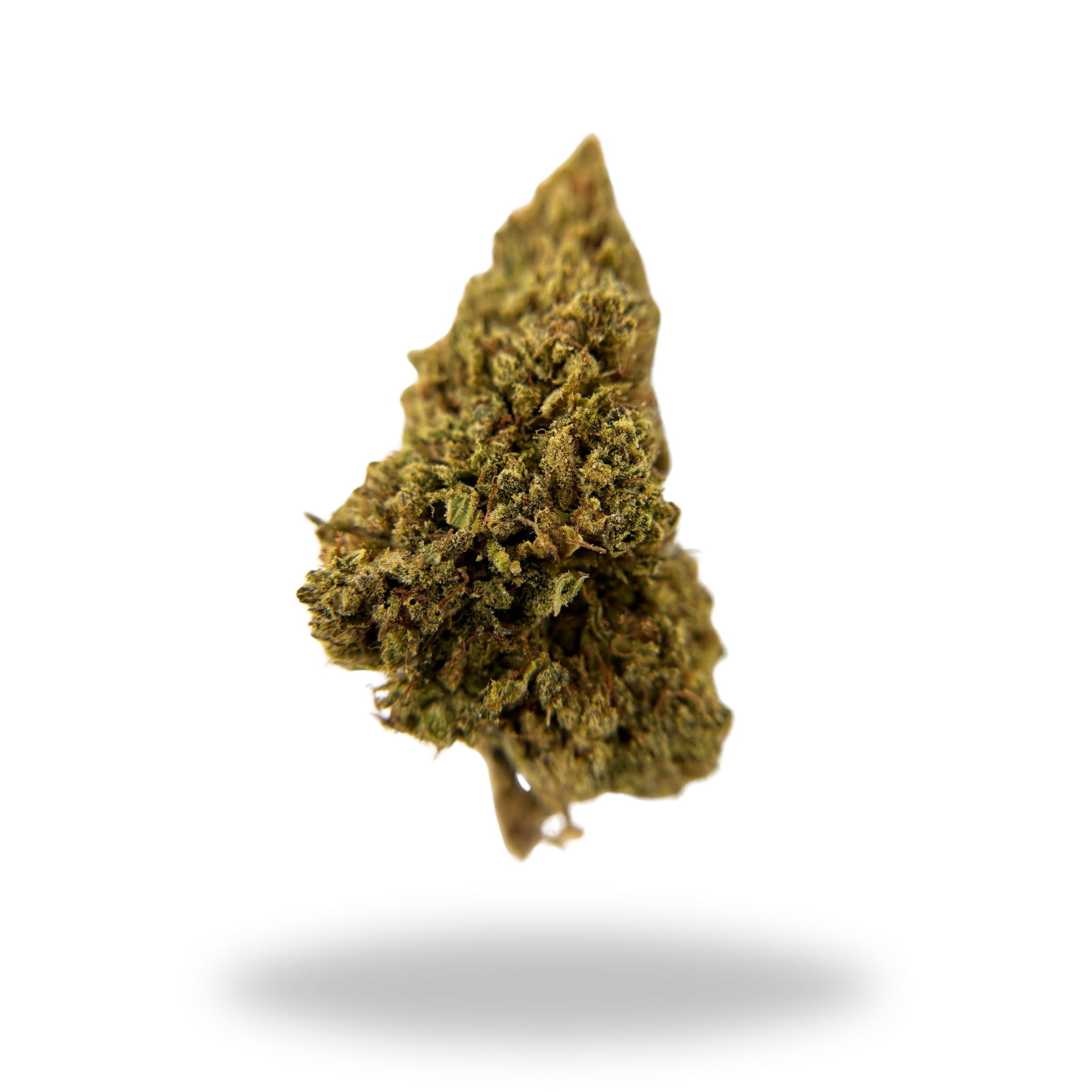 Hell's Angel OG | Indica (26.14% THCa) | Legacy Farms THCa Flower