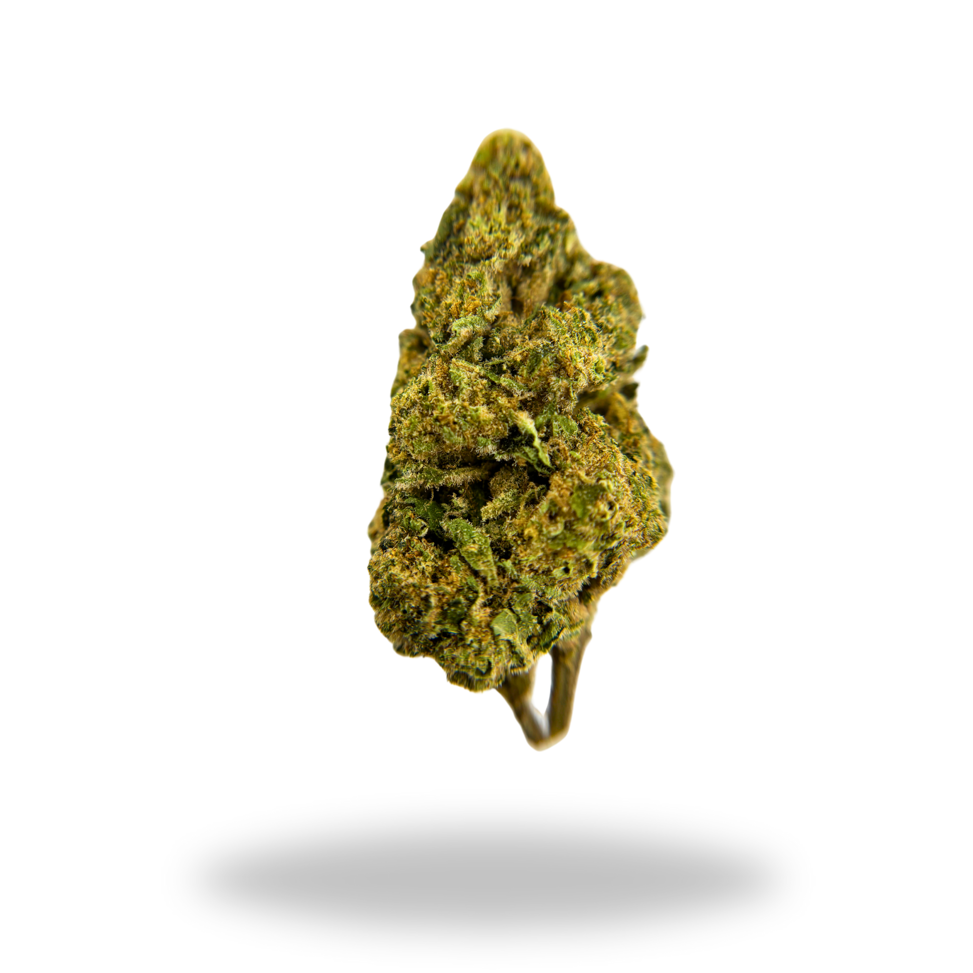 Jelly Swirlz THCa hemp flower strain bud photography