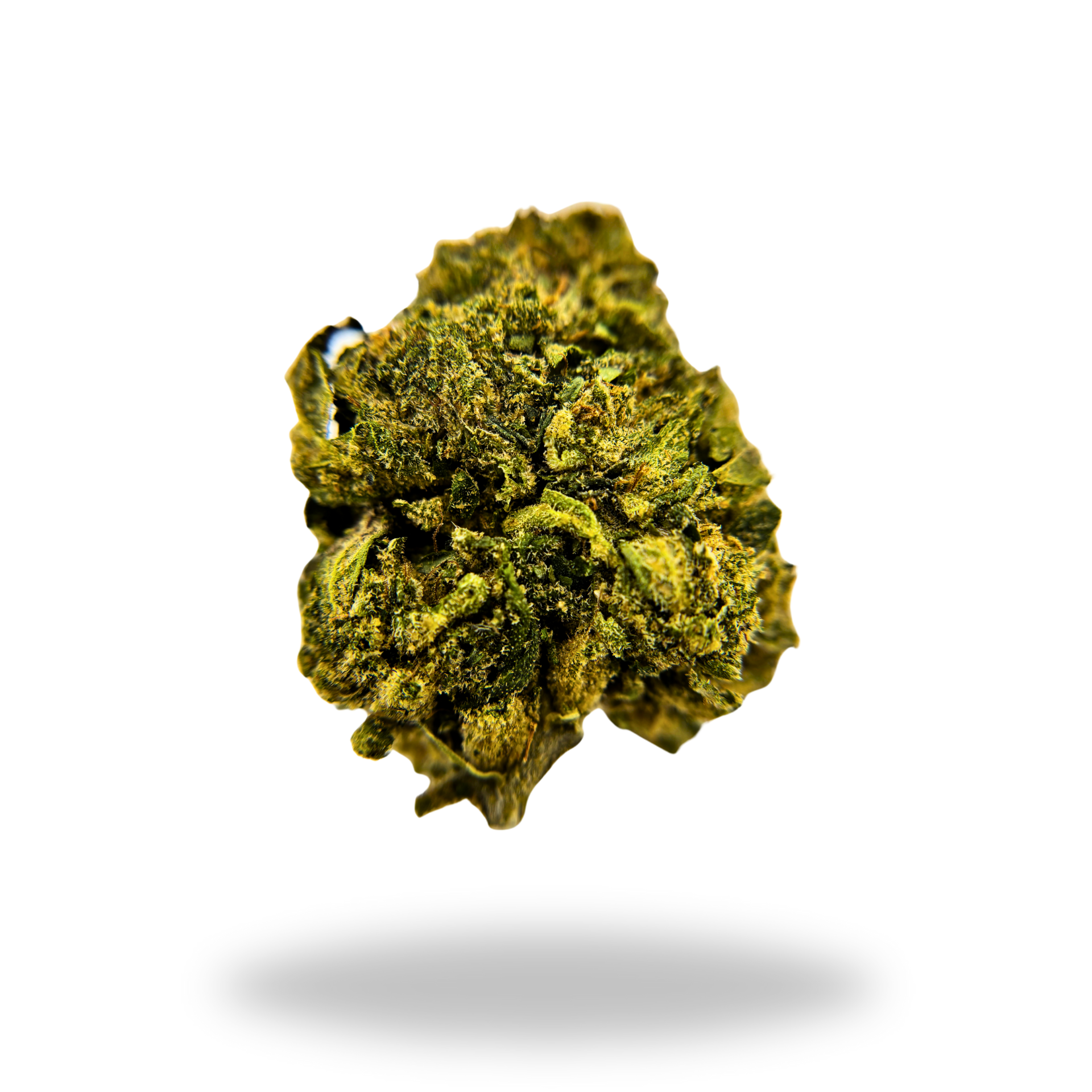 Jifflato #13 THCa hemp flower strain photography