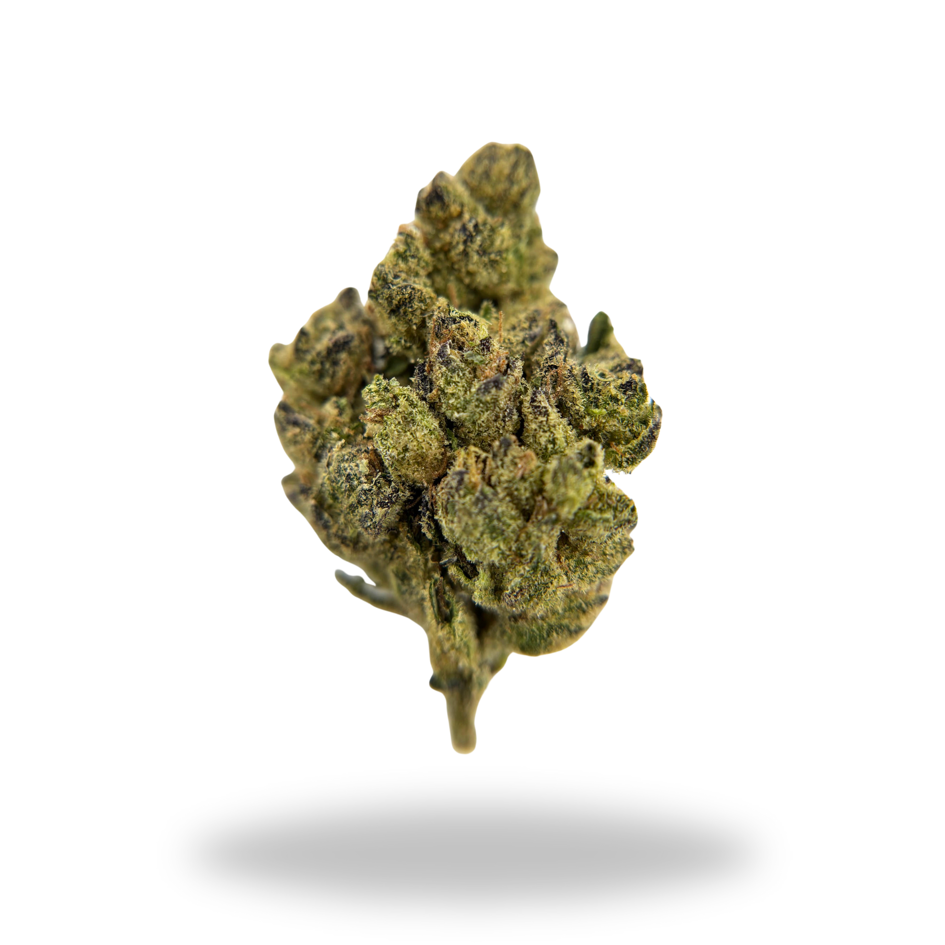 Kali Dog | Sativa Hybrid (28.43% THCa) | Legacy Farms THCa Flower