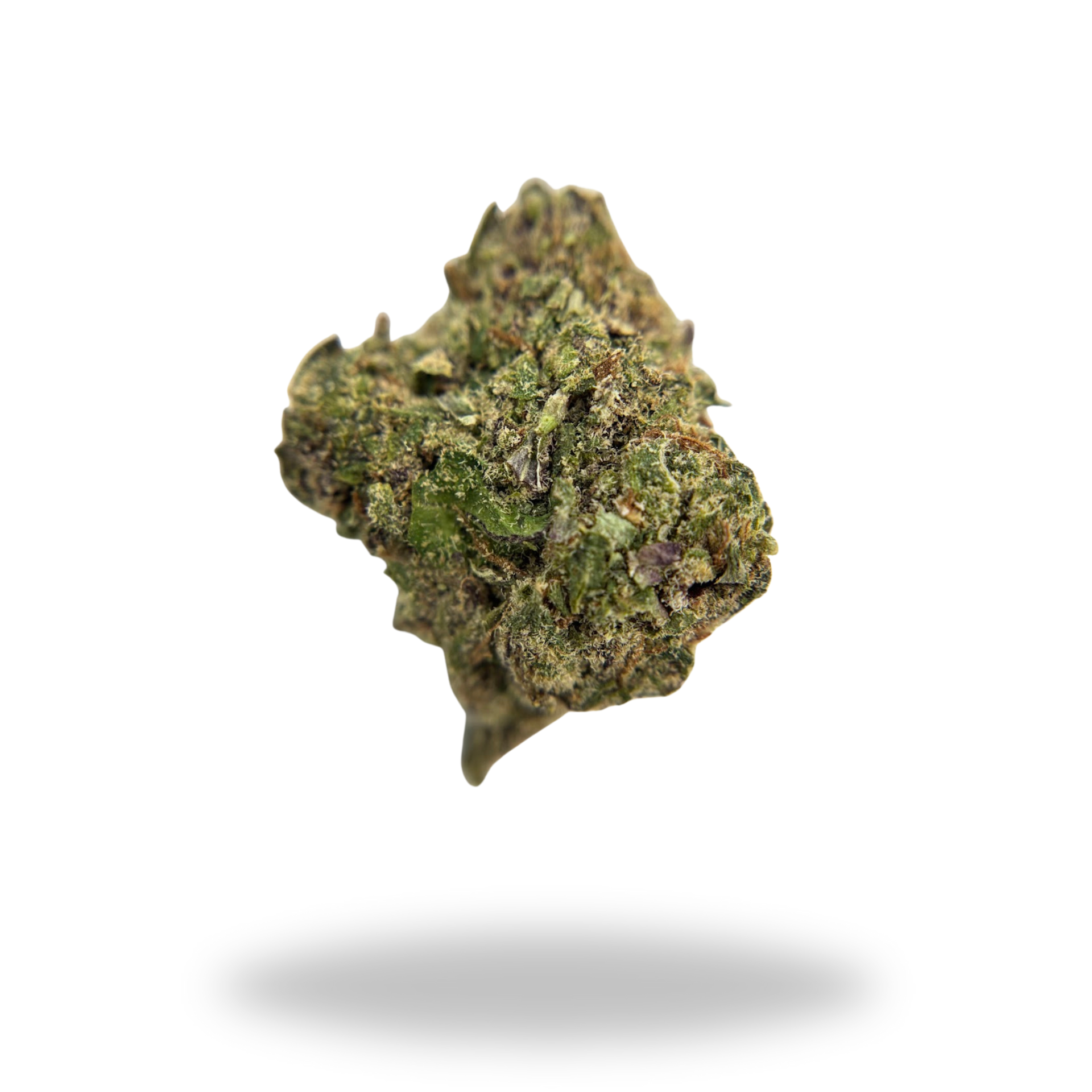 Noho Gelato | Hybrid (26.52% THCa) | Legacy Farms THCa Flower