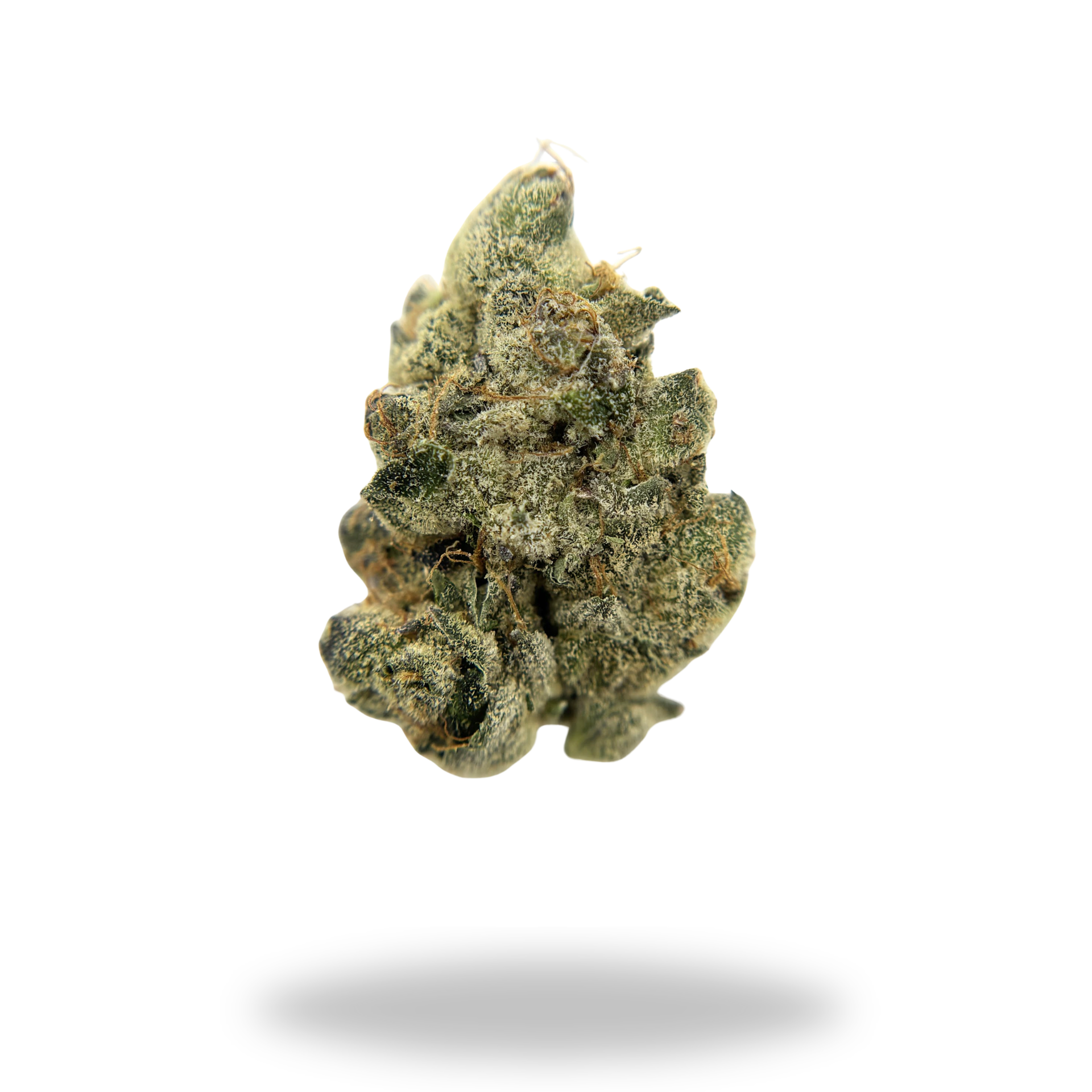 Sherb Cocktail | Hybrid (24.16%  THCa) | Legacy Farms THCa Flower