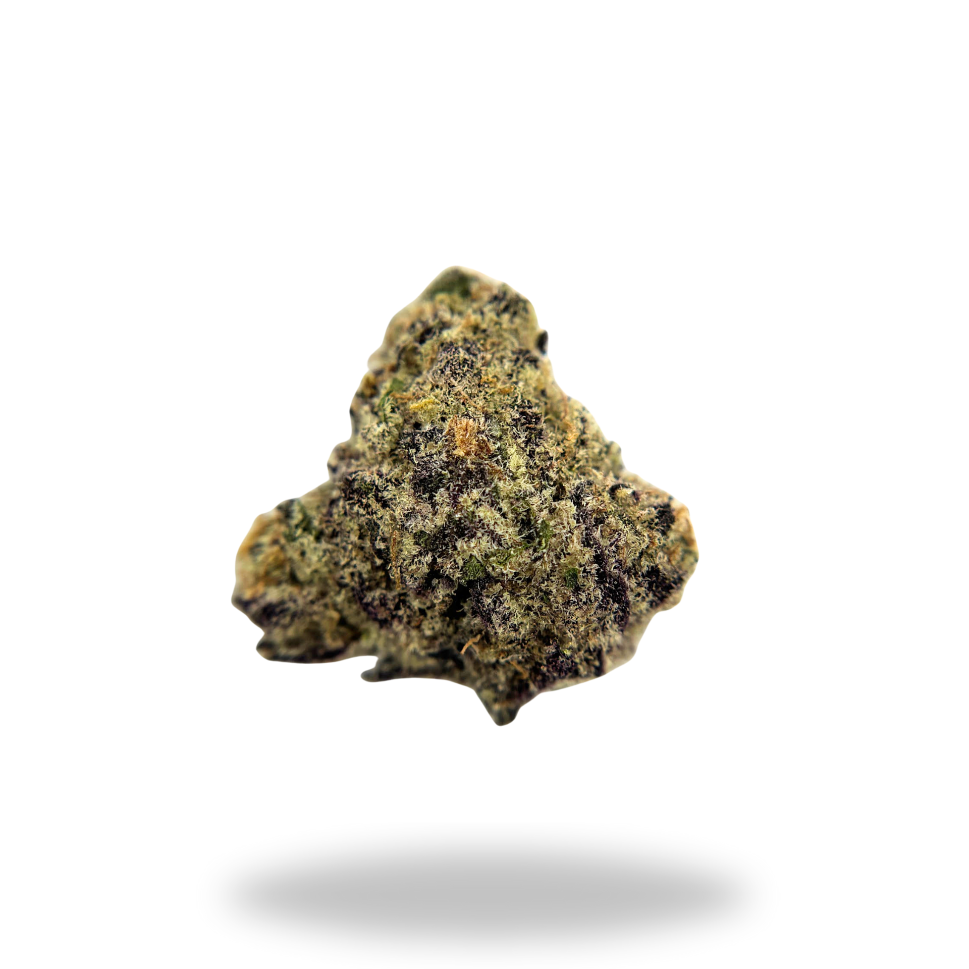 Snocones | Sativa/Hybrid (29.21%  THCa) | Legacy Farms THCa Flower